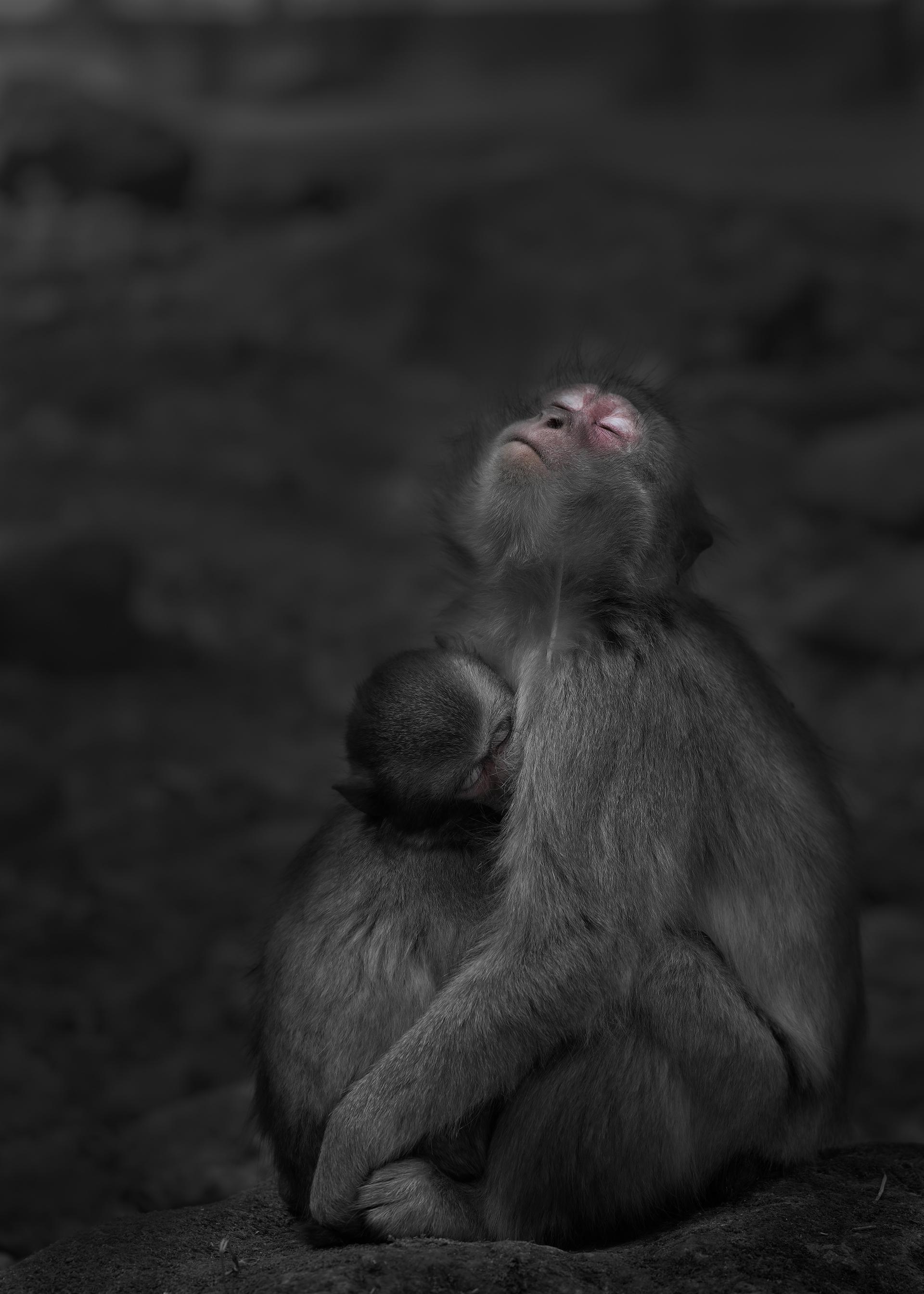 London Photography Awards Winner - Mother's