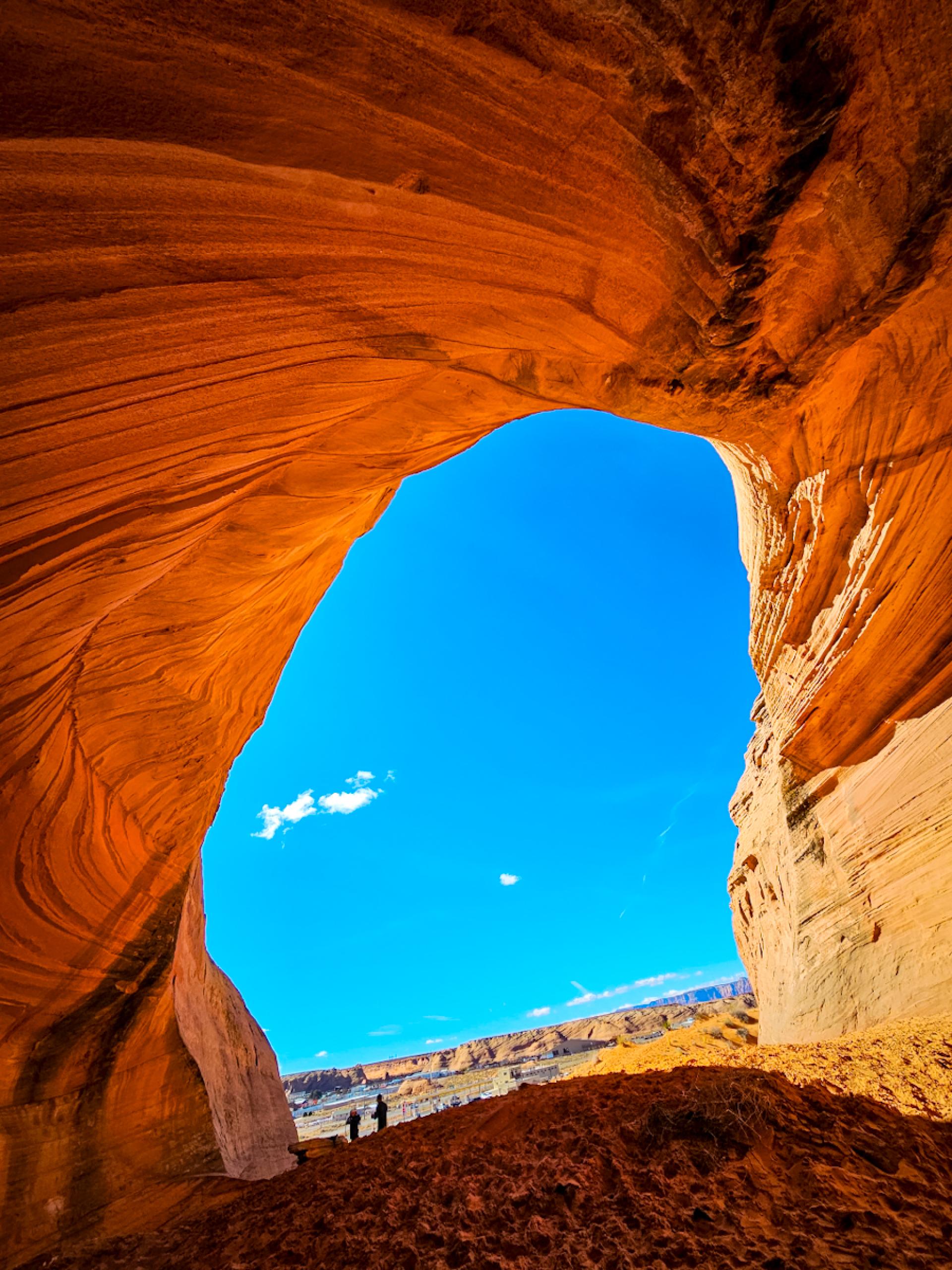 London Photography Awards Winner - Through Nature's Window