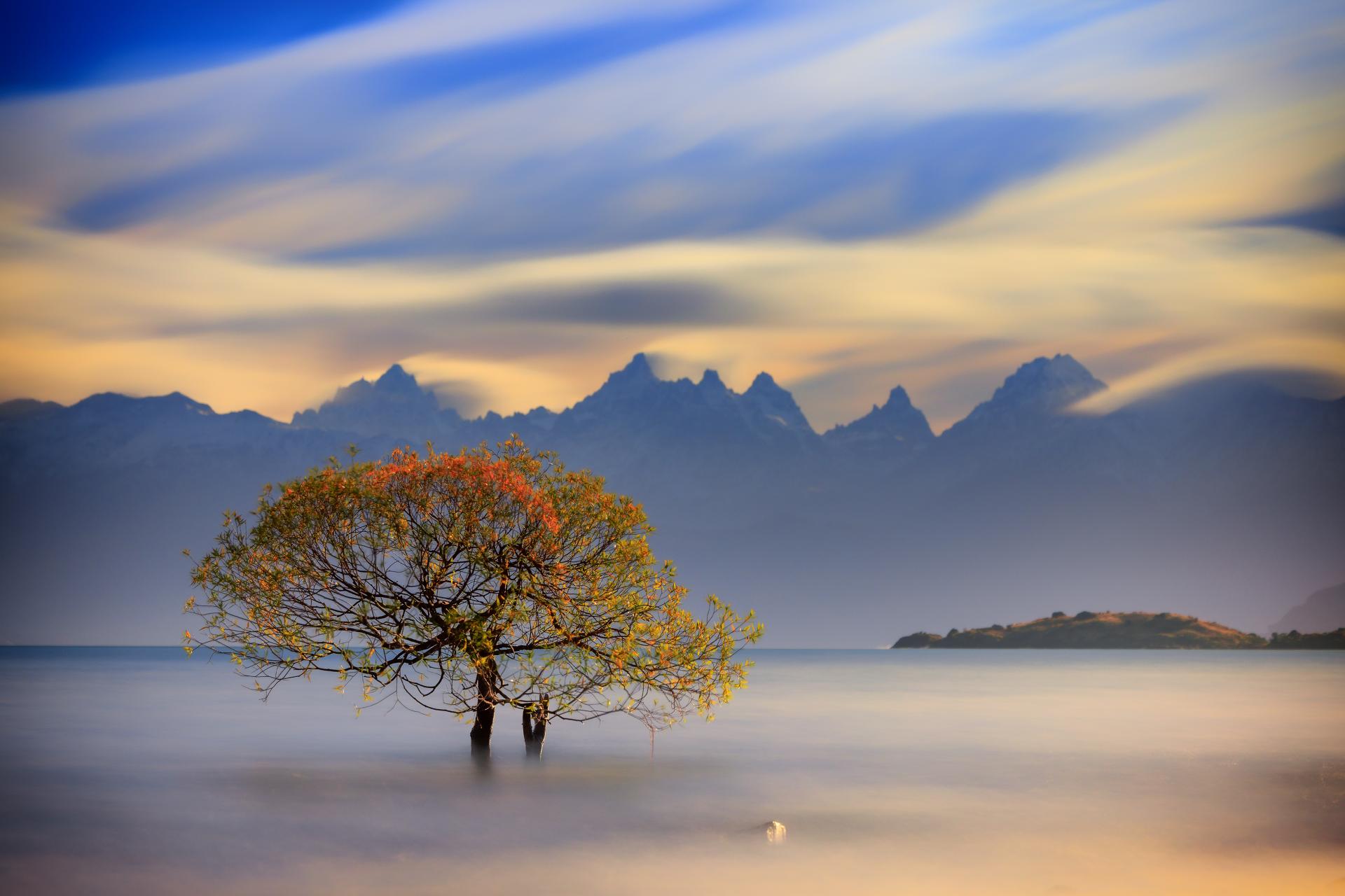 London Photography Awards Winner - Autumn in the water