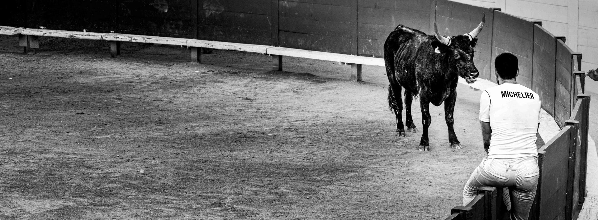 London Photography Awards Winner - Eye to eye