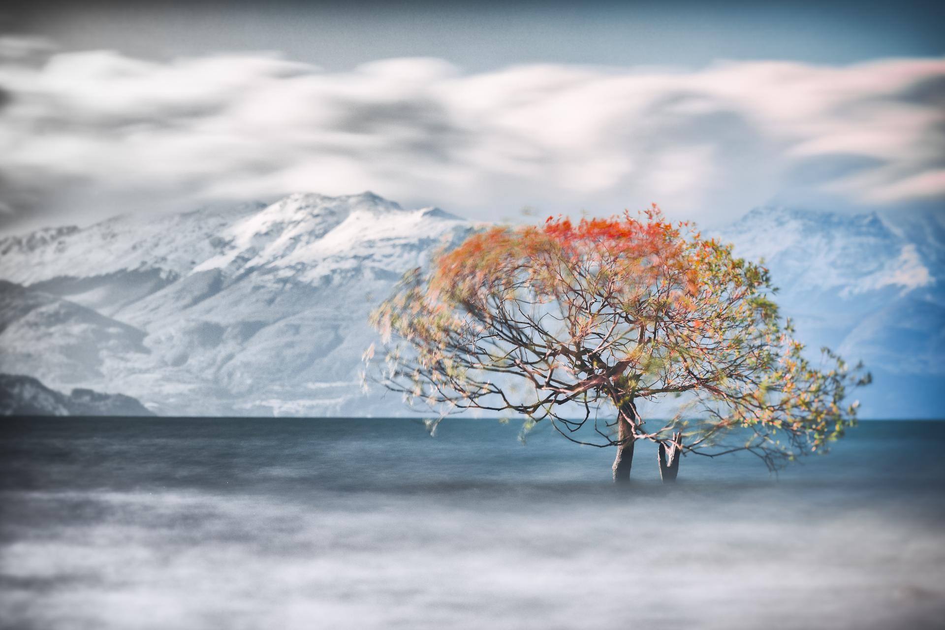 London Photography Awards Winner - Autumn transition