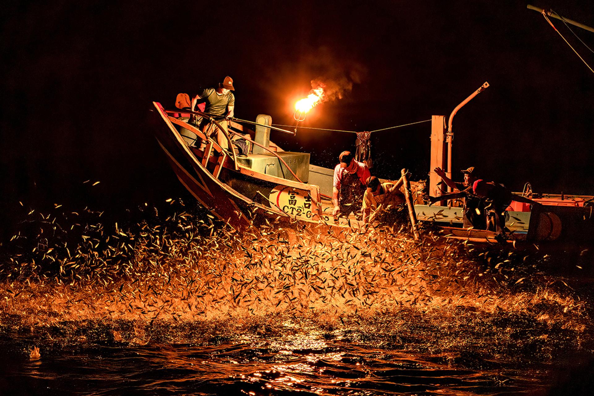 London Photography Awards Winner - Bumper harvest