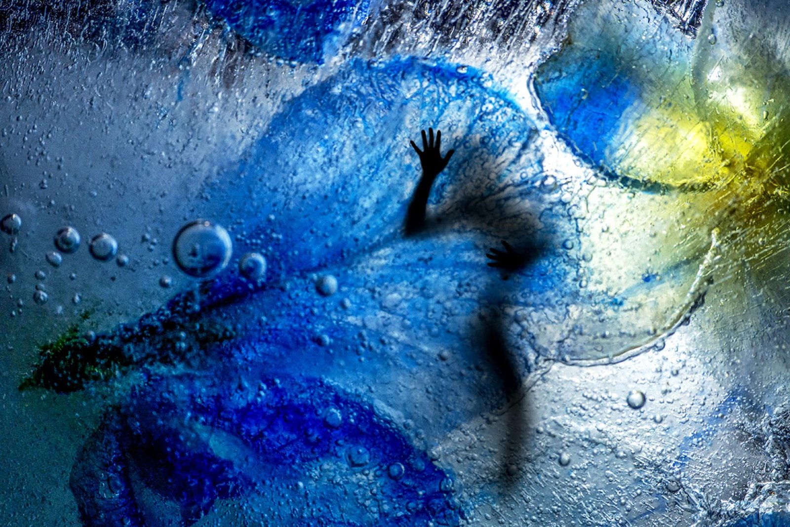 London Photography Awards Winner - The beautiful macro ice flowers.