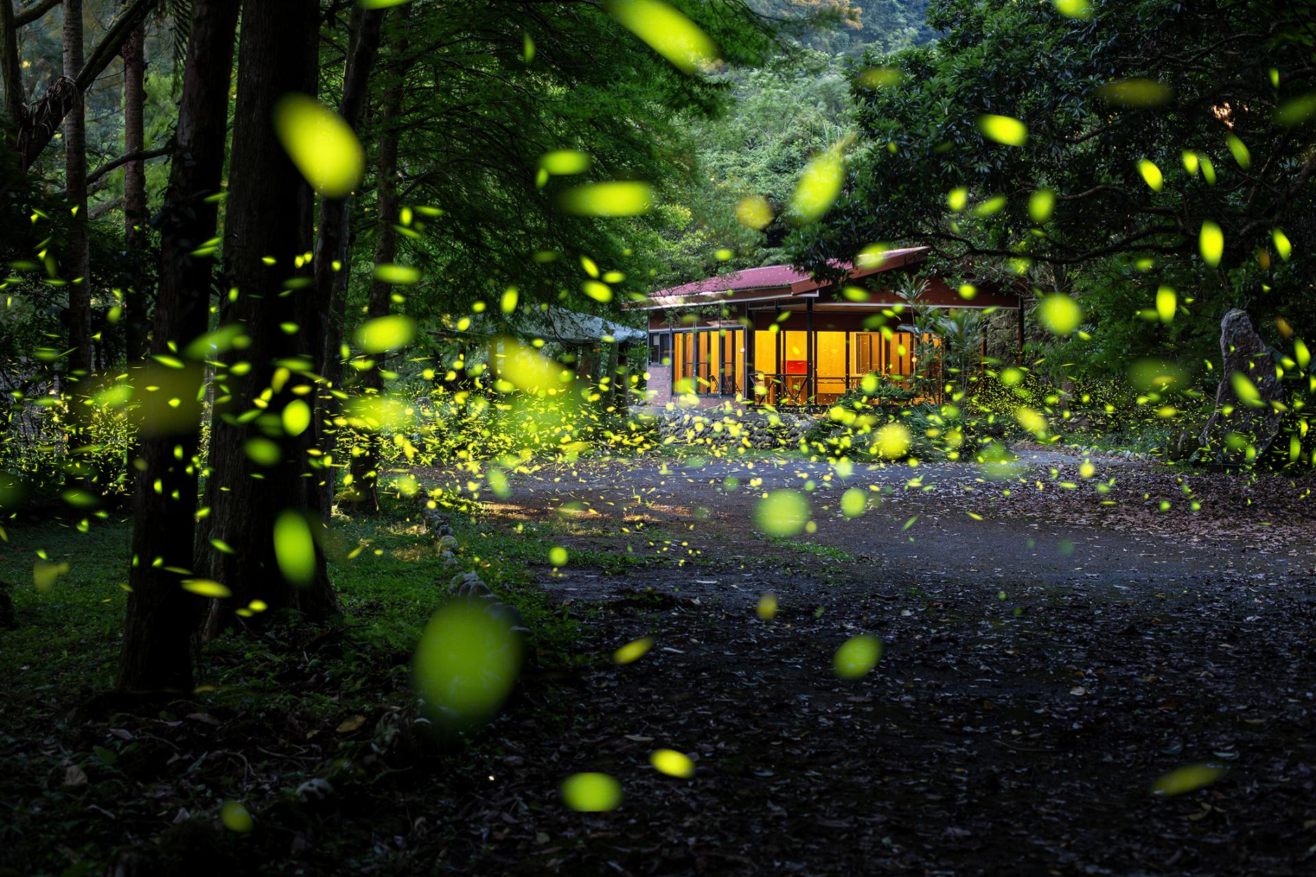London Photography Awards Winner - Summer Night Dance at the Retreat