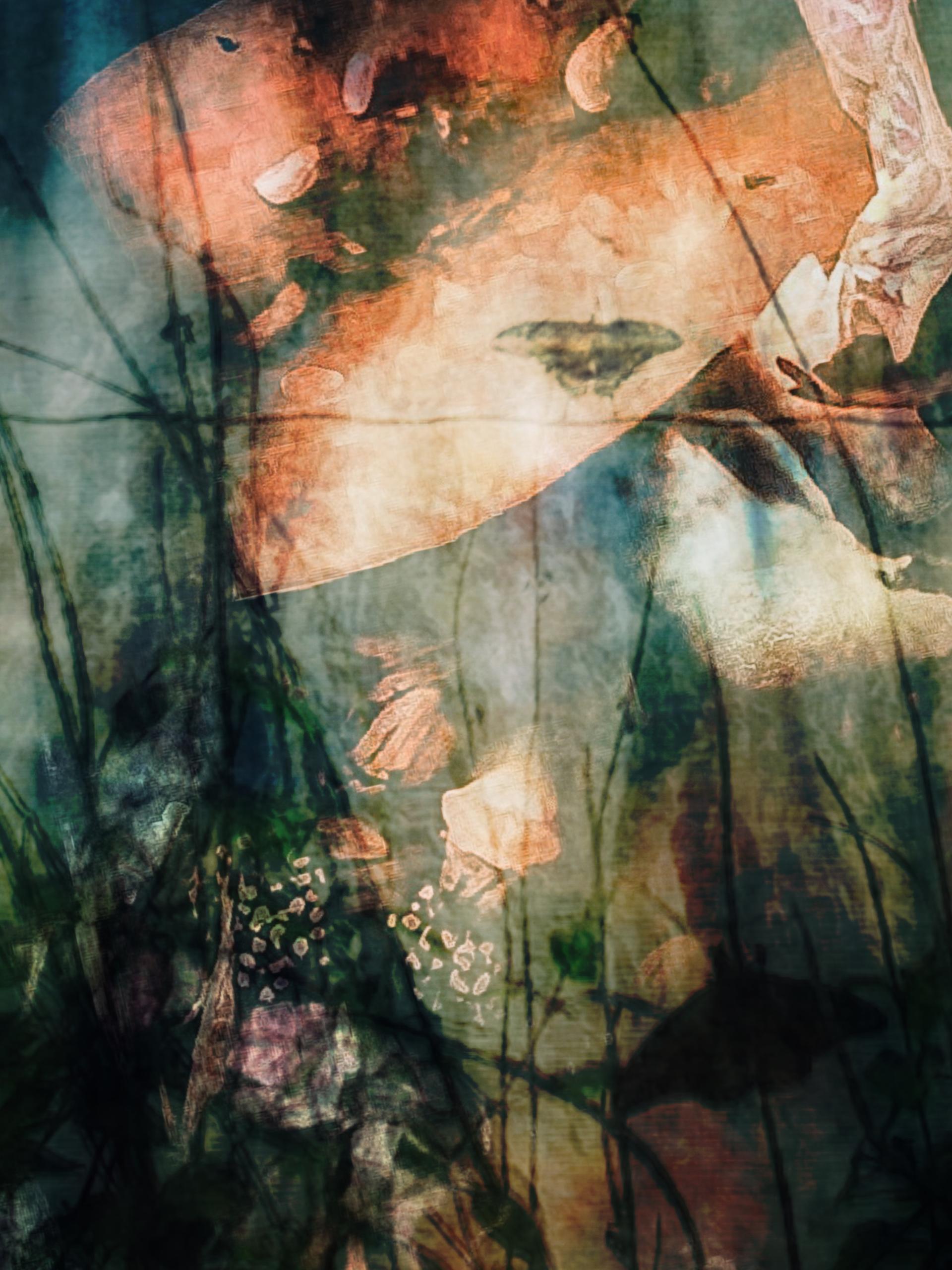 London Photography Awards Winner - Around us