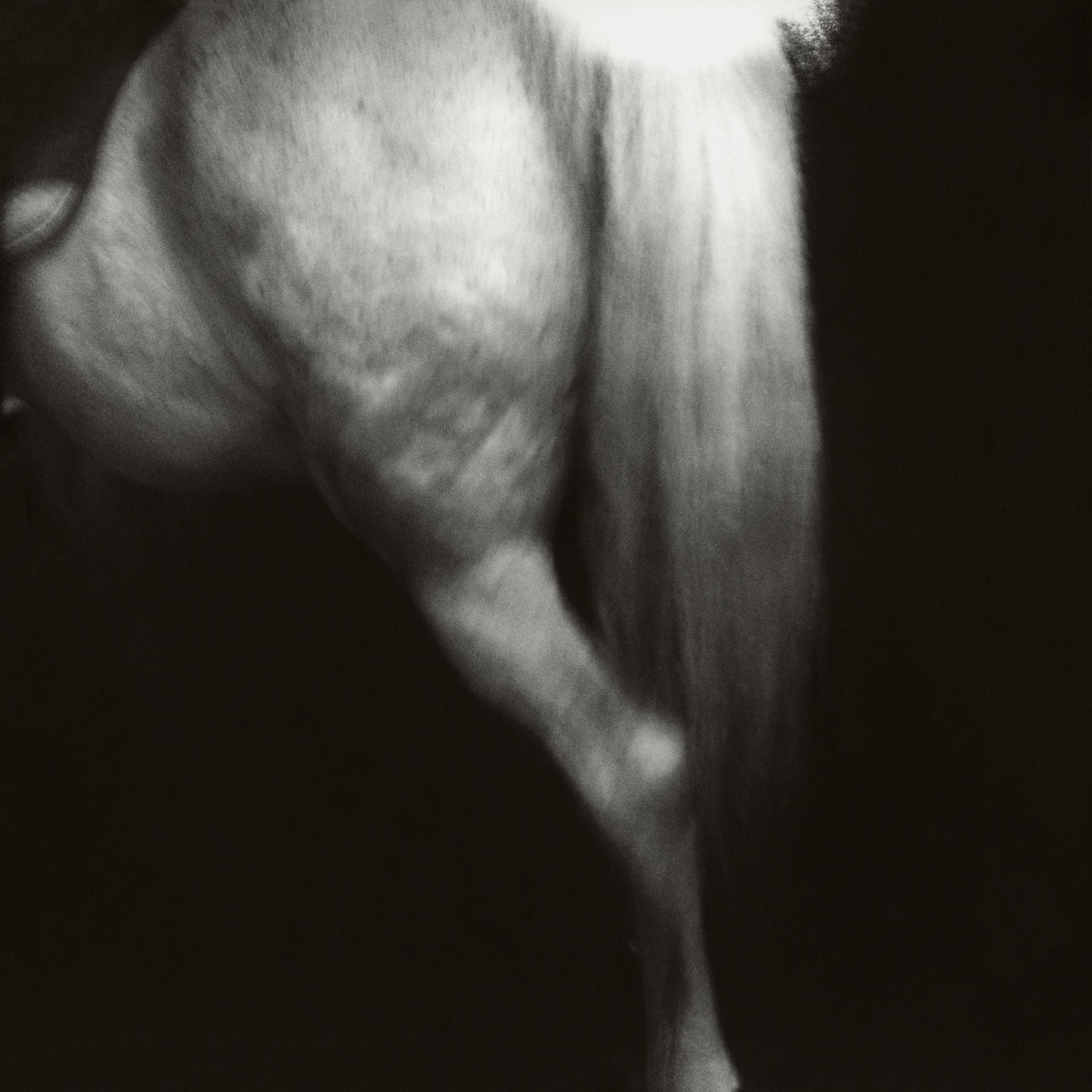 London Photography Awards Winner - Broken Shadow