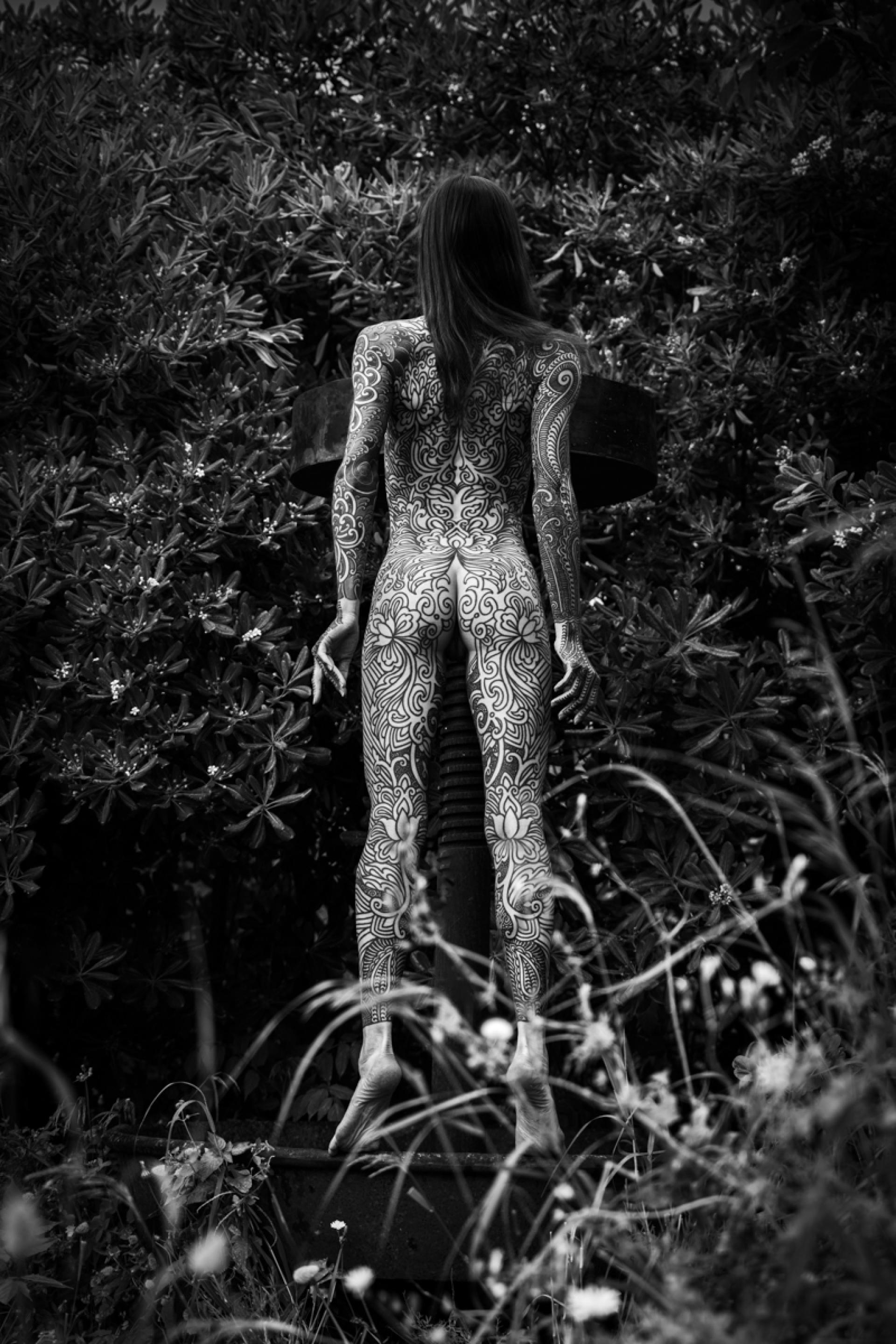 London Photography Awards Winner - Lizard I (Connected to Nature)