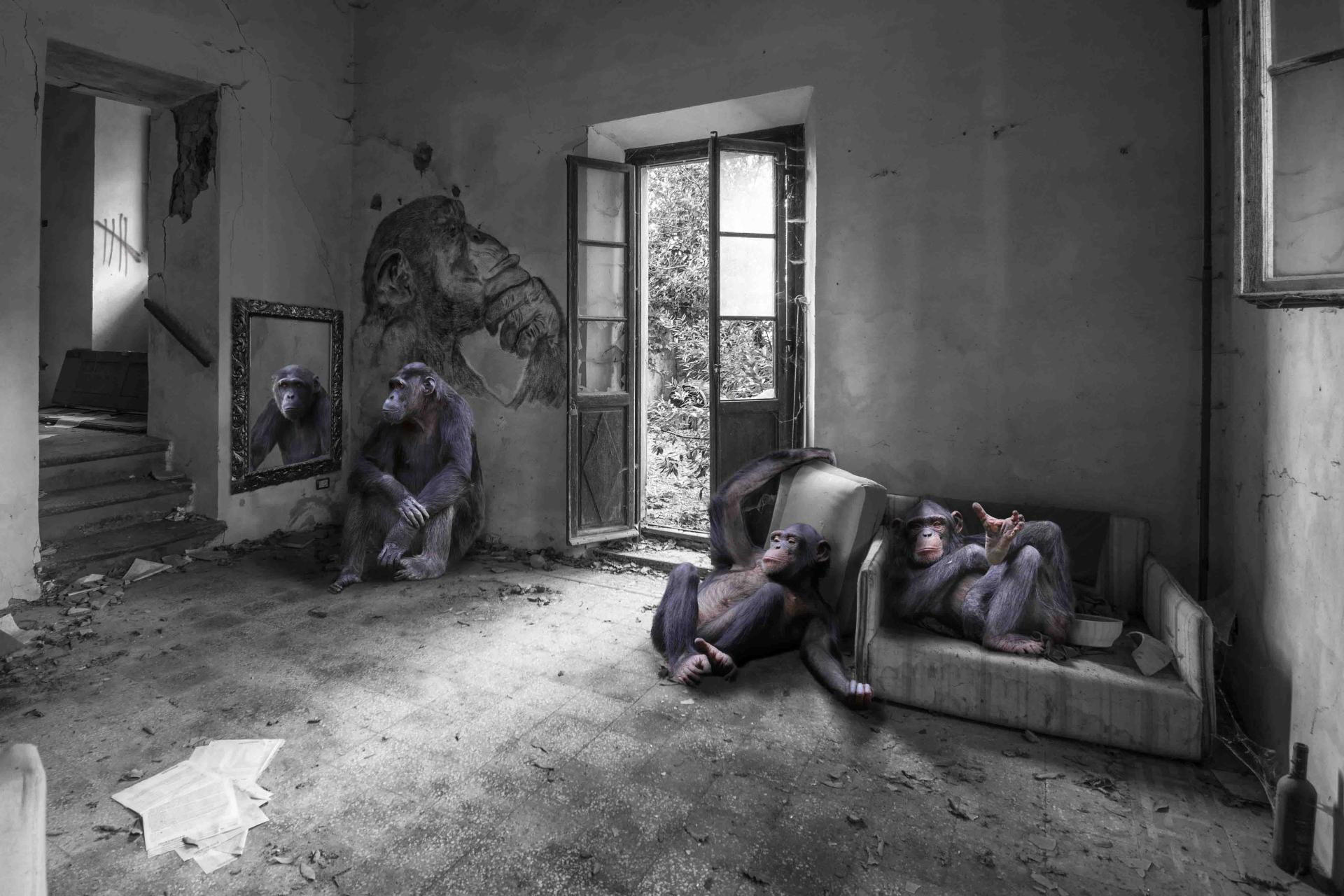 London Photography Awards Winner - Lost Kingdoms