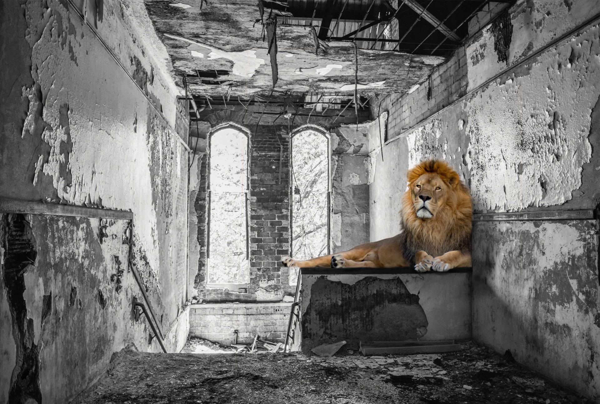 London Photography Awards Winner - Lost Kingdoms