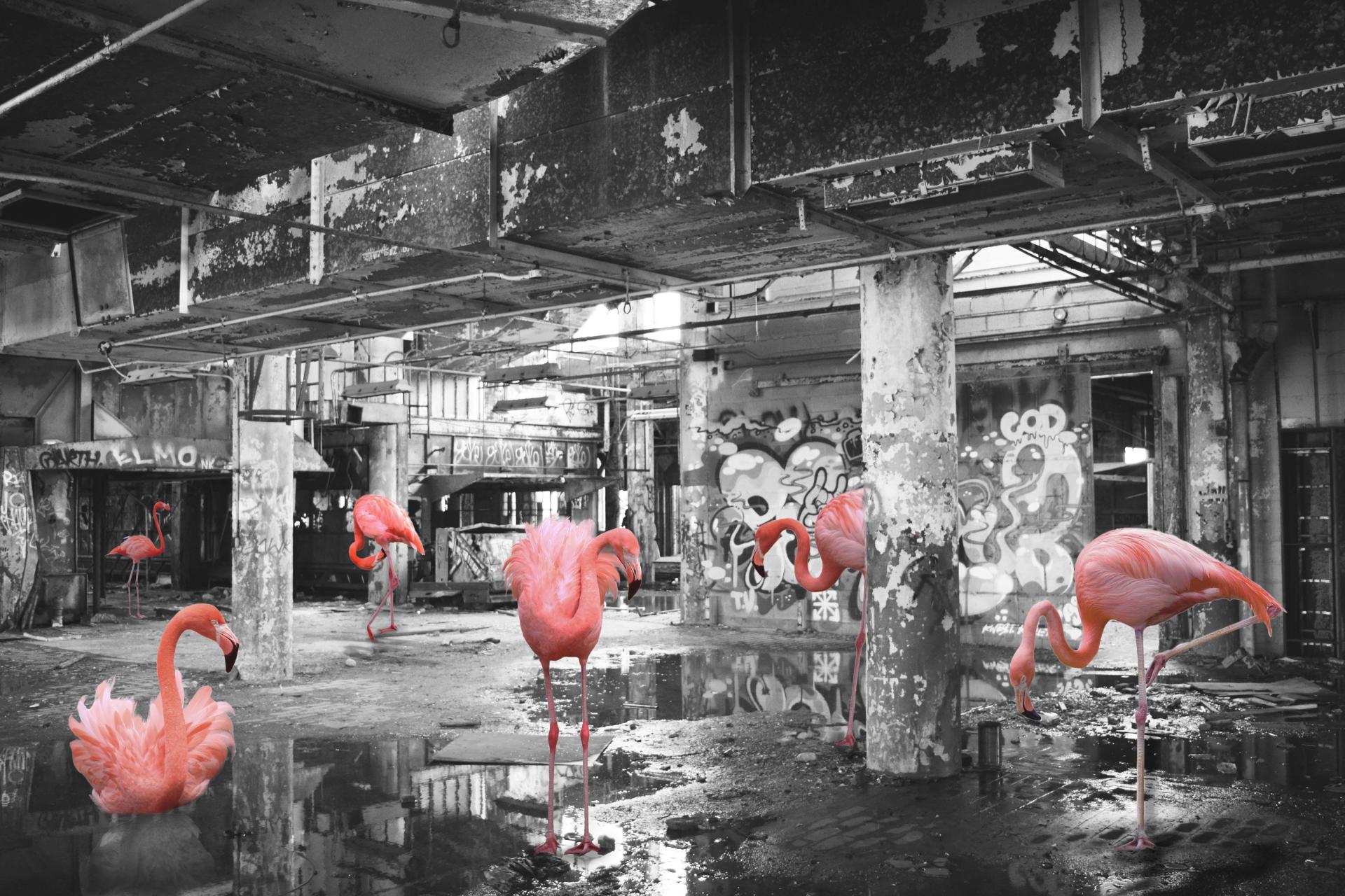 London Photography Awards Winner - Lost Kingdoms