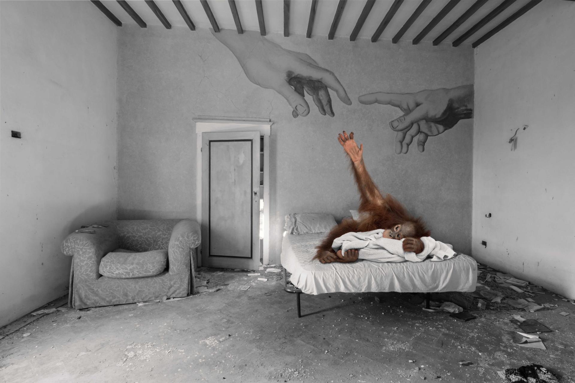 London Photography Awards Winner - Lost Kingdoms