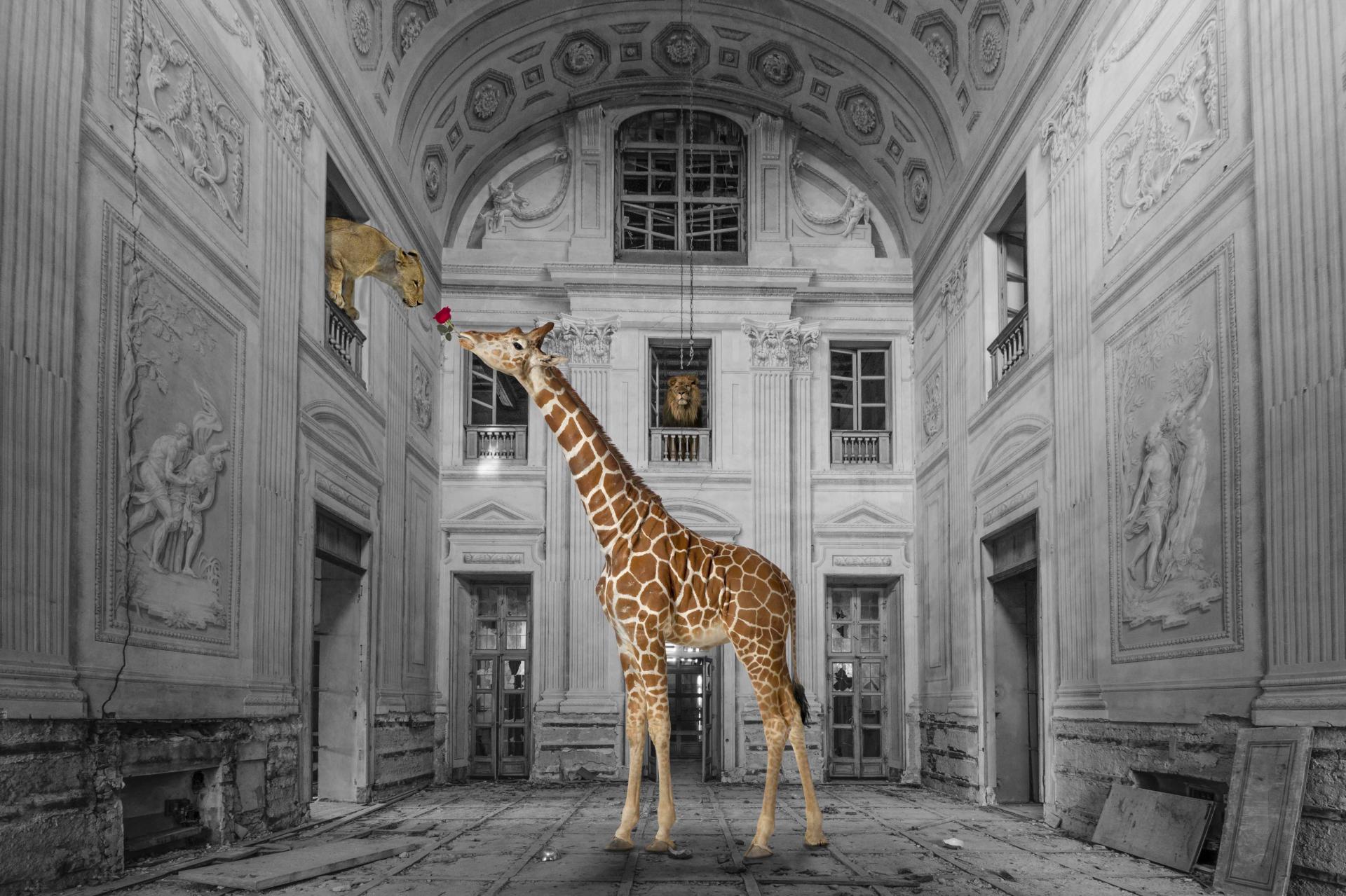 London Photography Awards Winner - Lost Kingdoms