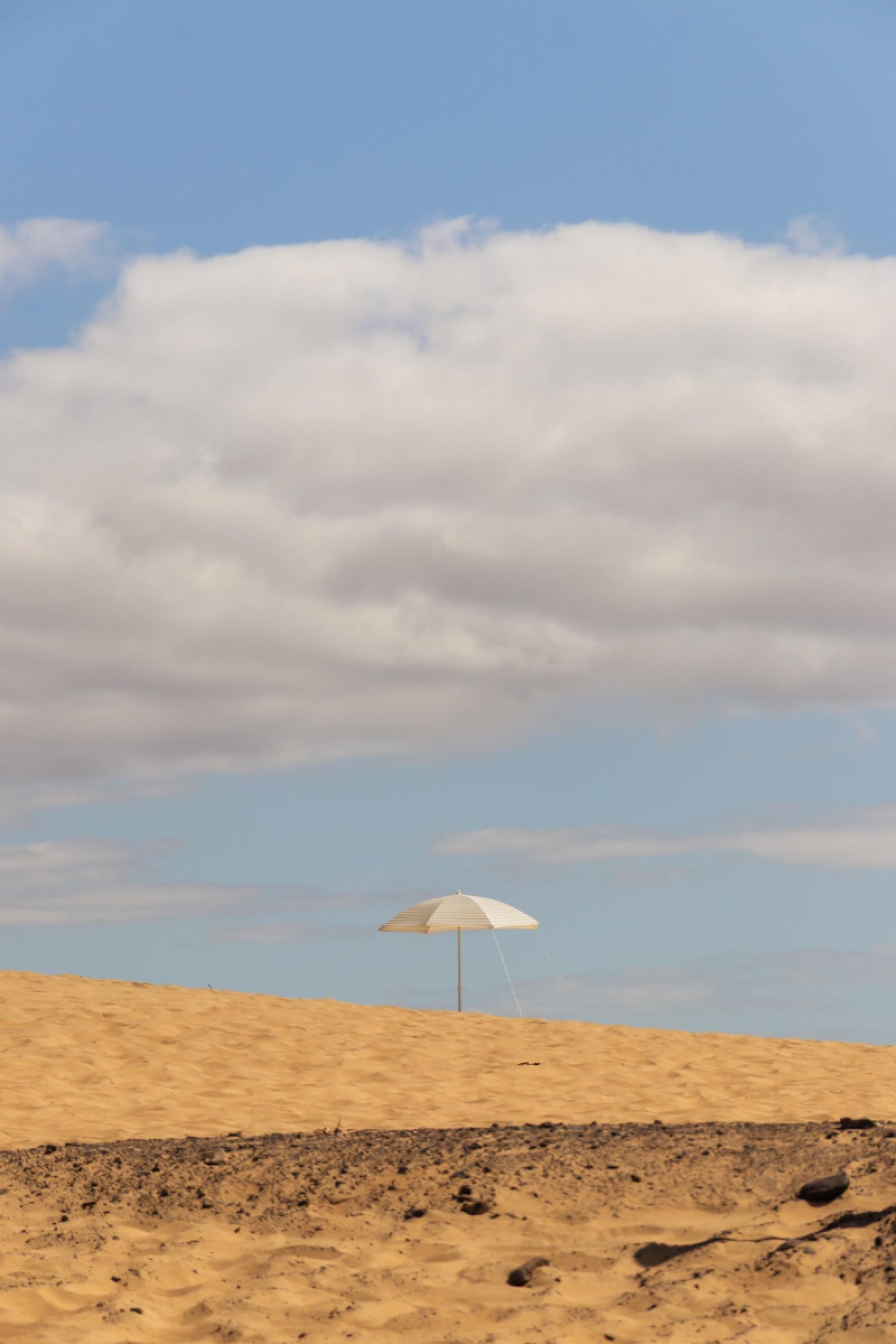 London Photography Awards Winner - Parasol