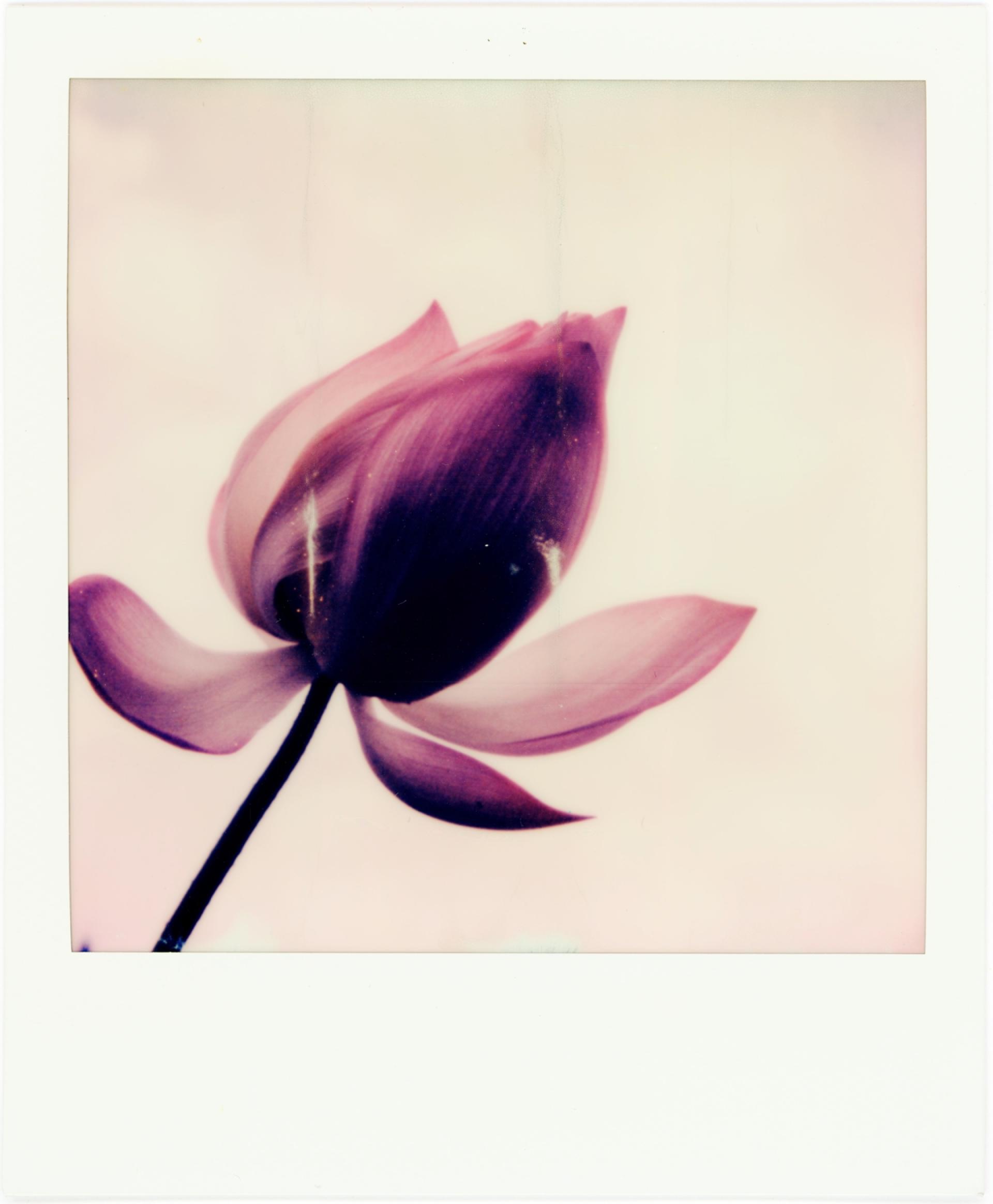 London Photography Awards Winner - Opening