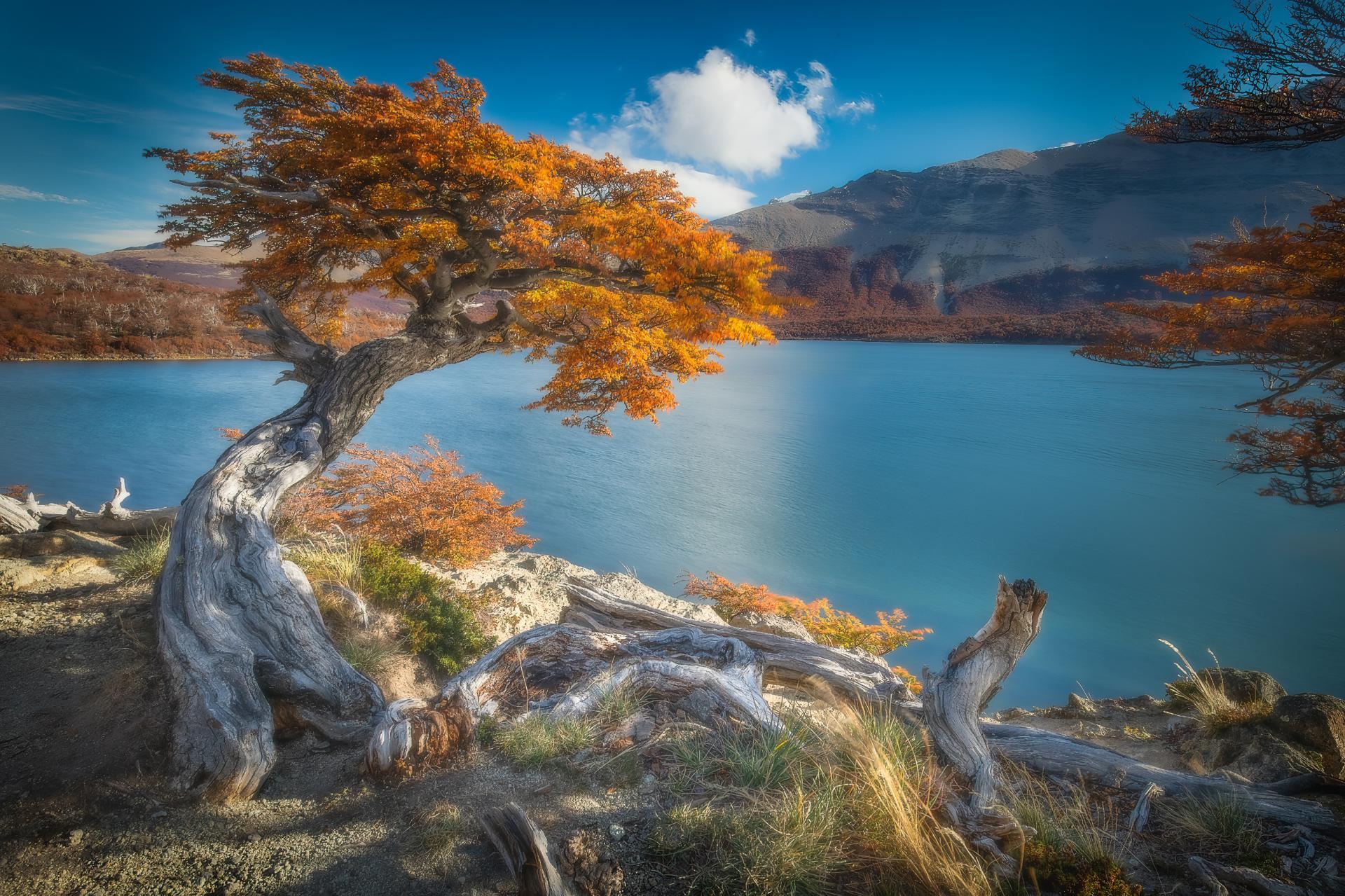 London Photography Awards Winner - Autumn In Patagonia.