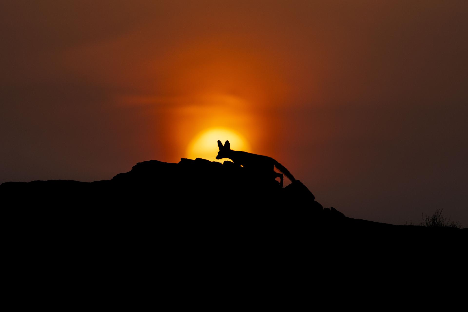 London Photography Awards Winner - Crossing the Sun 