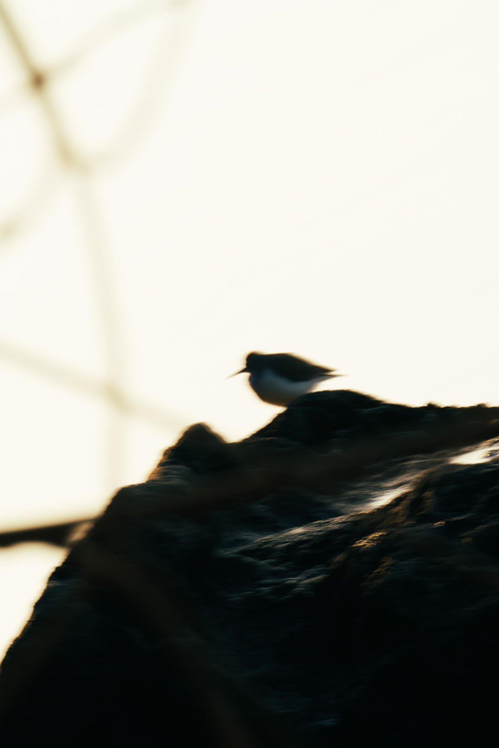 London Photography Awards Winner - Lonely, but at peace