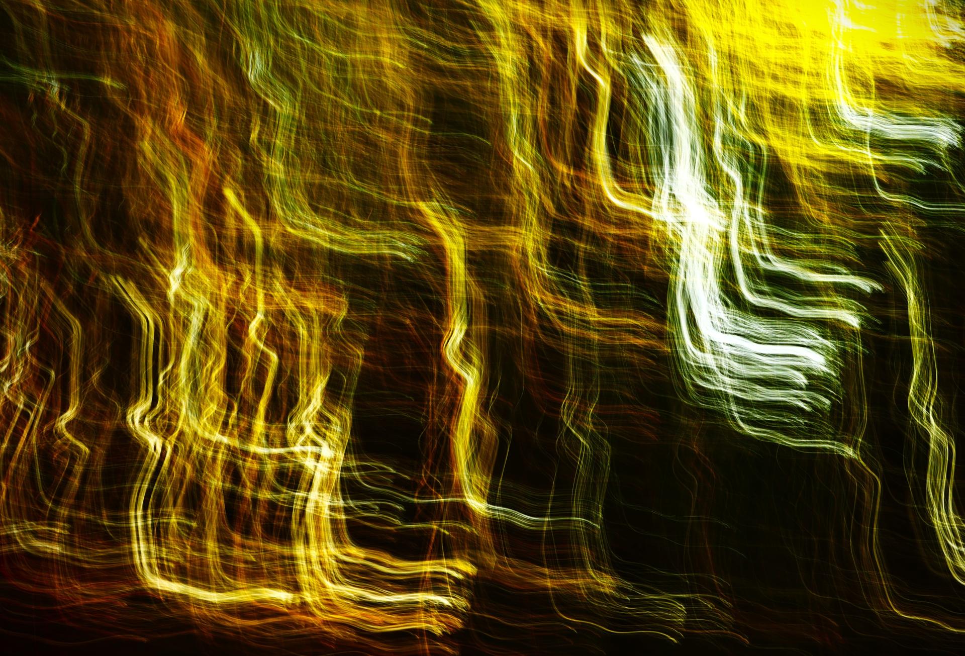 London Photography Awards Winner - Leaves of Light