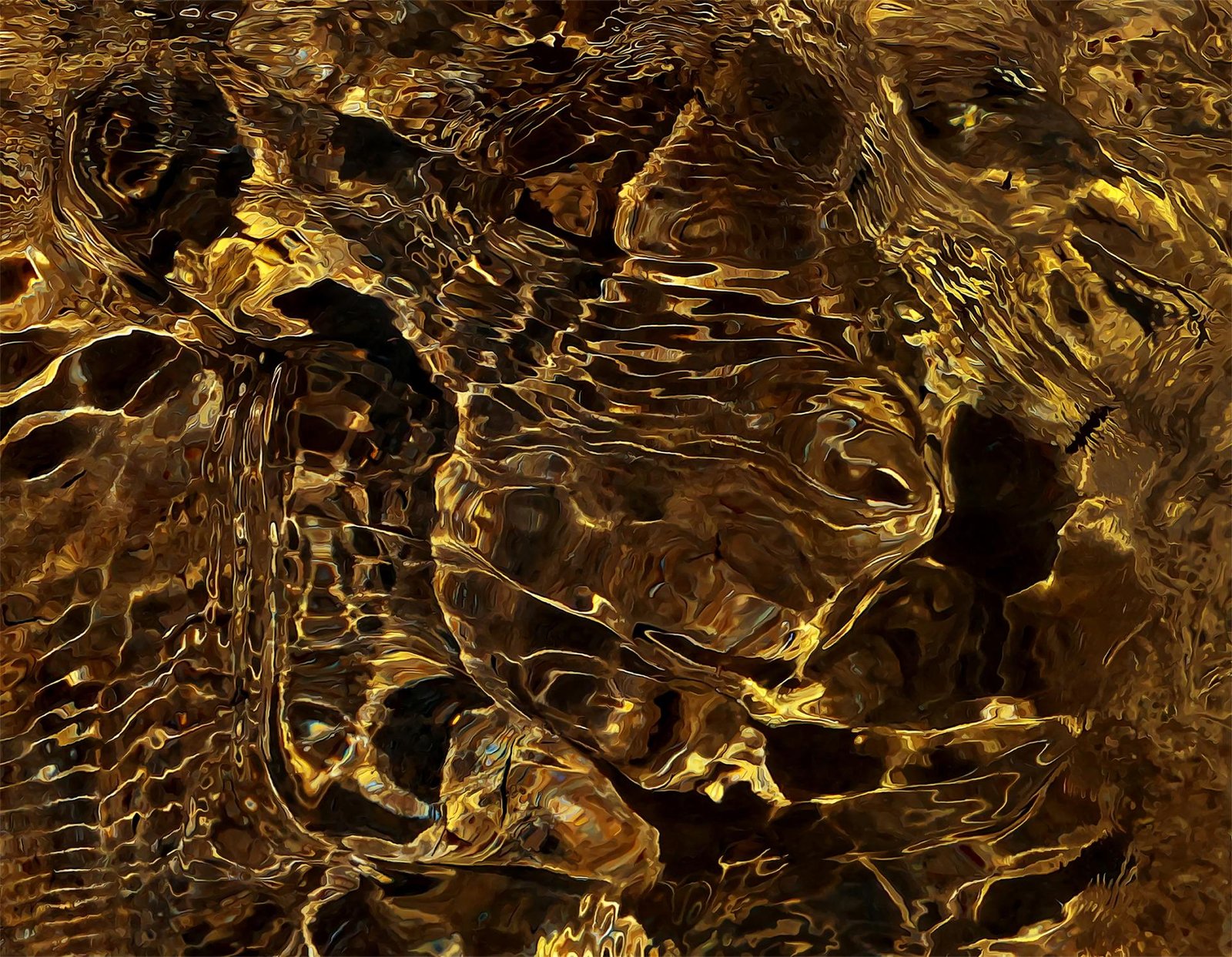 London Photography Awards Winner - Gold Whisper