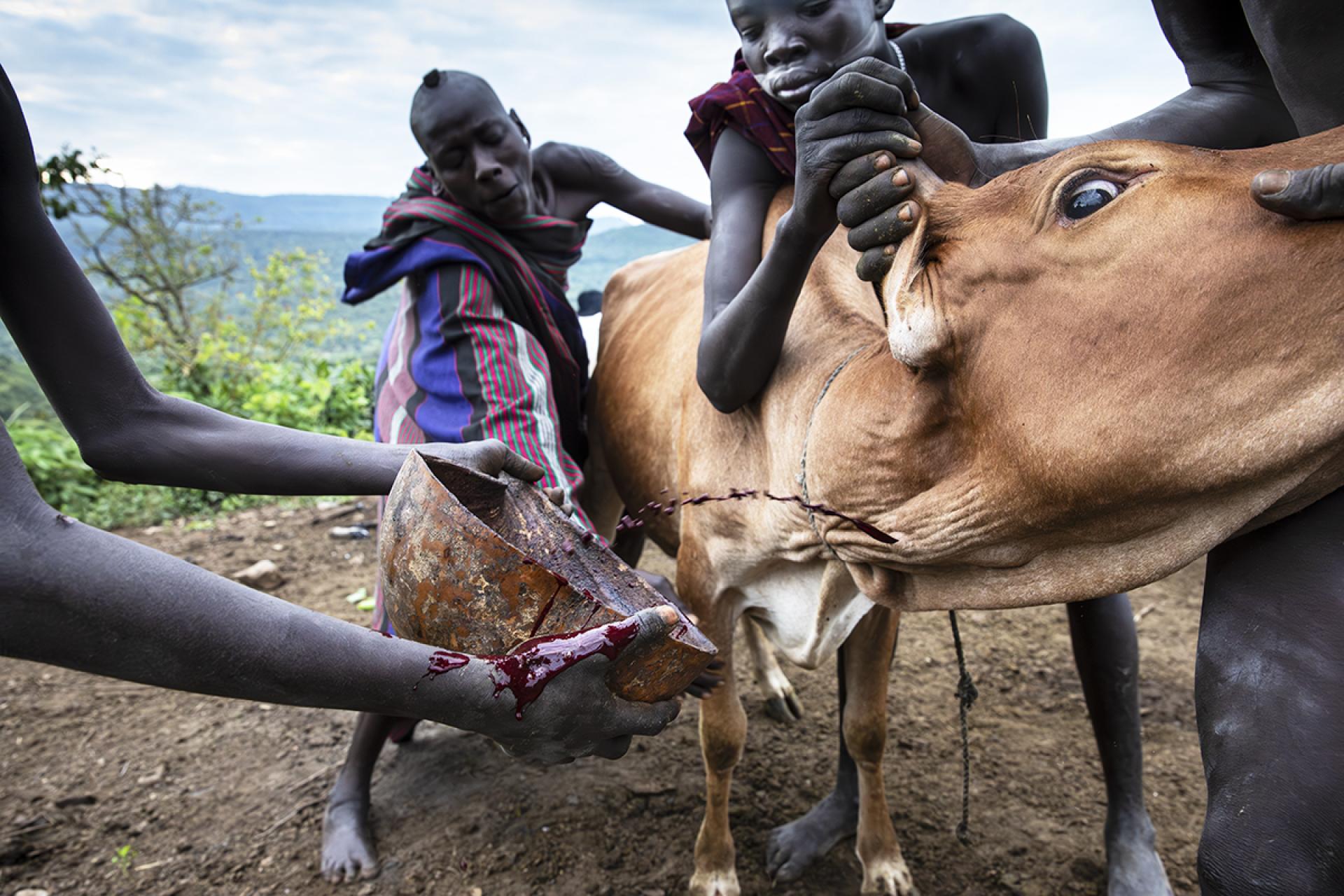 London Photography Awards Winner - Between Milk and Blood