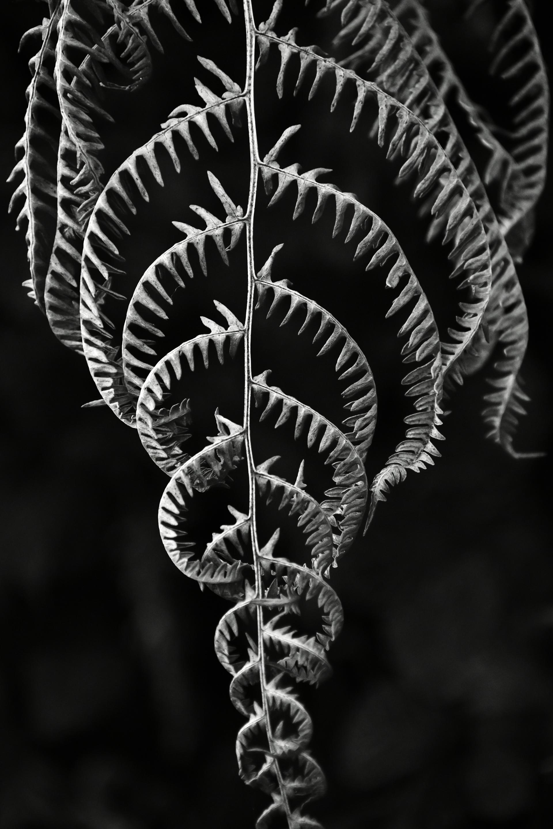 London Photography Awards Winner - Jagged edge