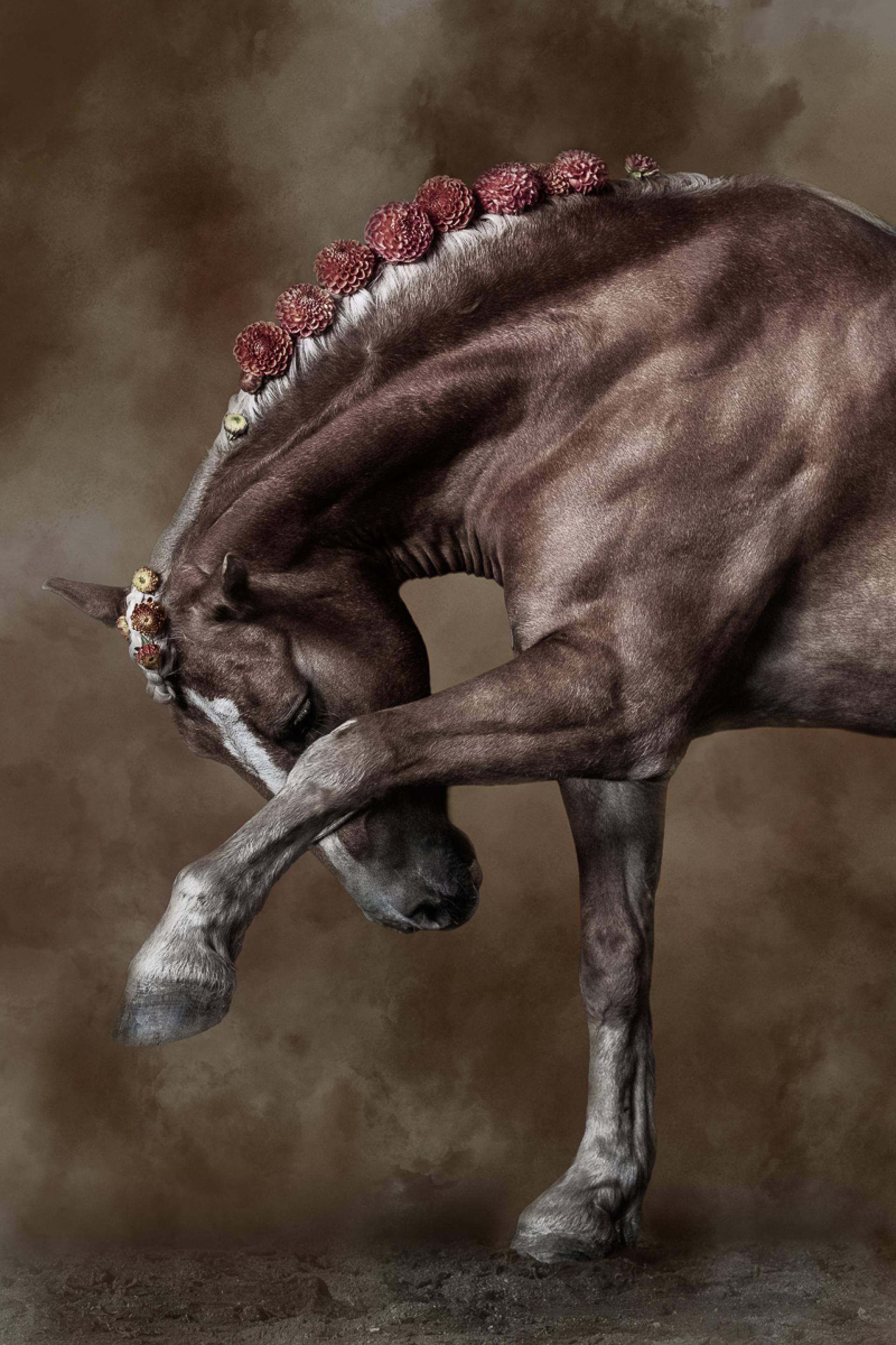London Photography Awards Winner - Reverence