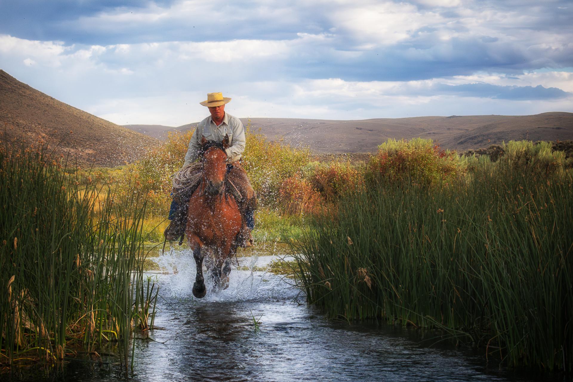 London Photography Awards Winner - Dust and Devotion