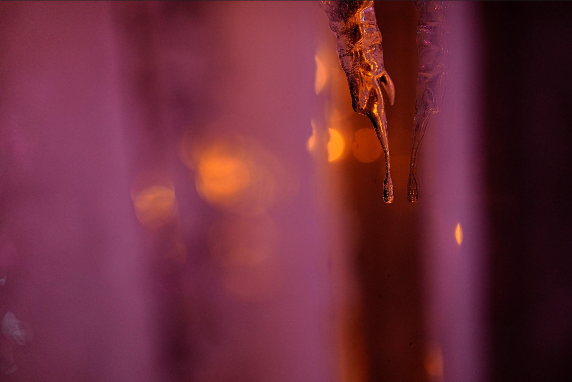 London Photography Awards Winner - Ephemeral Forms