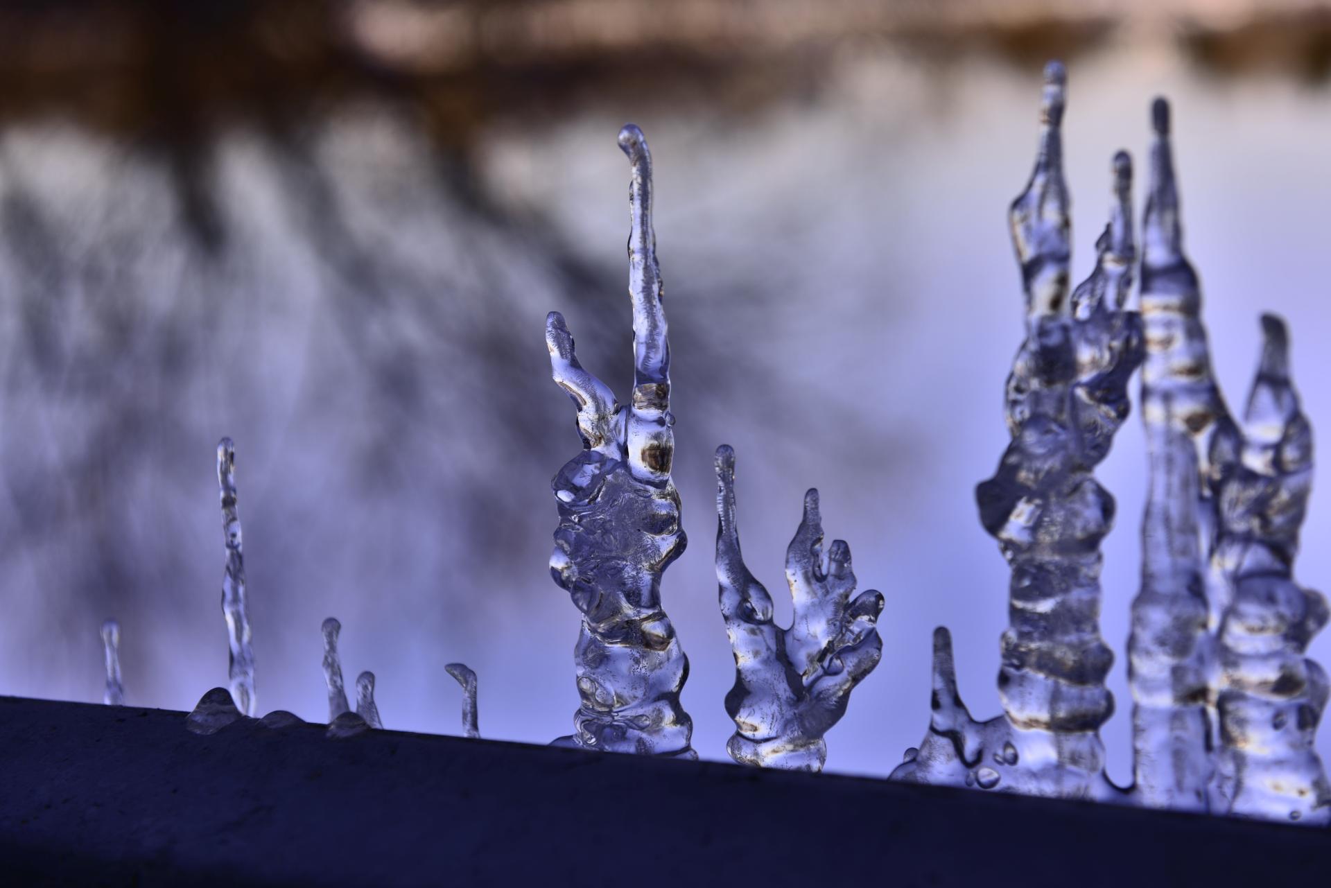 London Photography Awards Winner - Ephemeral Forms
