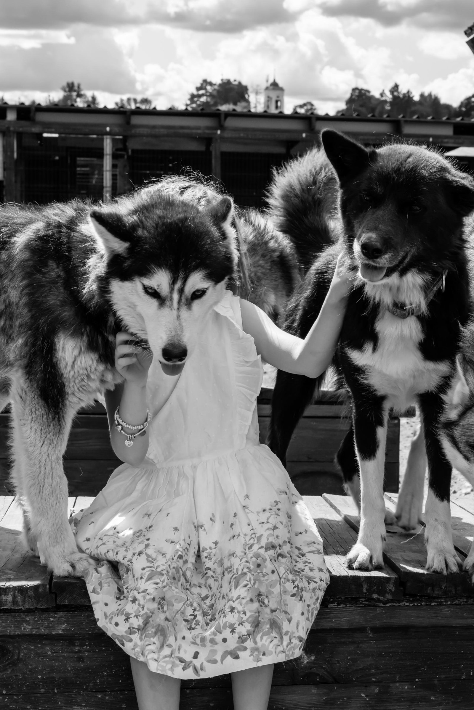 London Photography Awards Winner - My pack