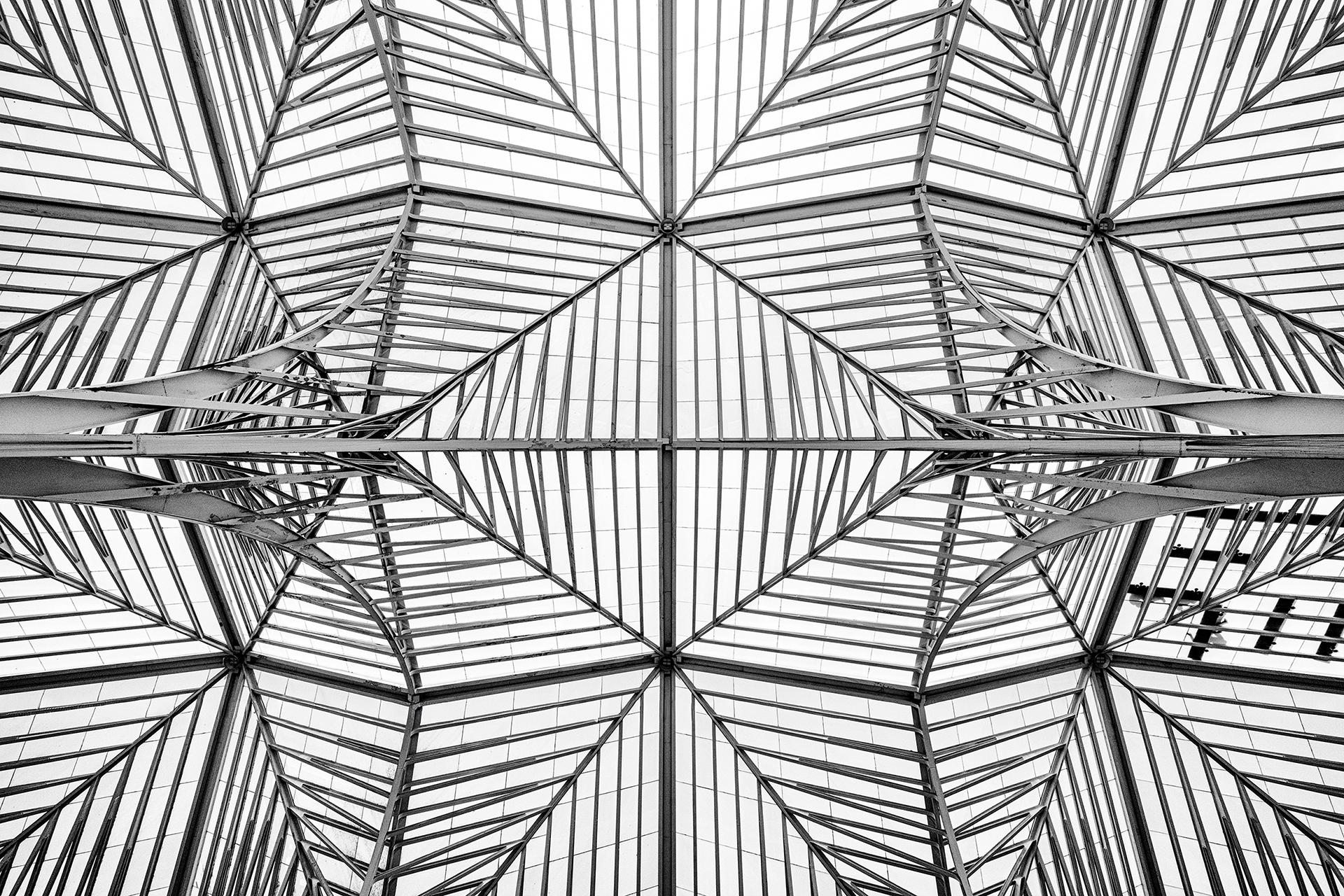 London Photography Awards Winner - Estacio Oriente, Looking Up