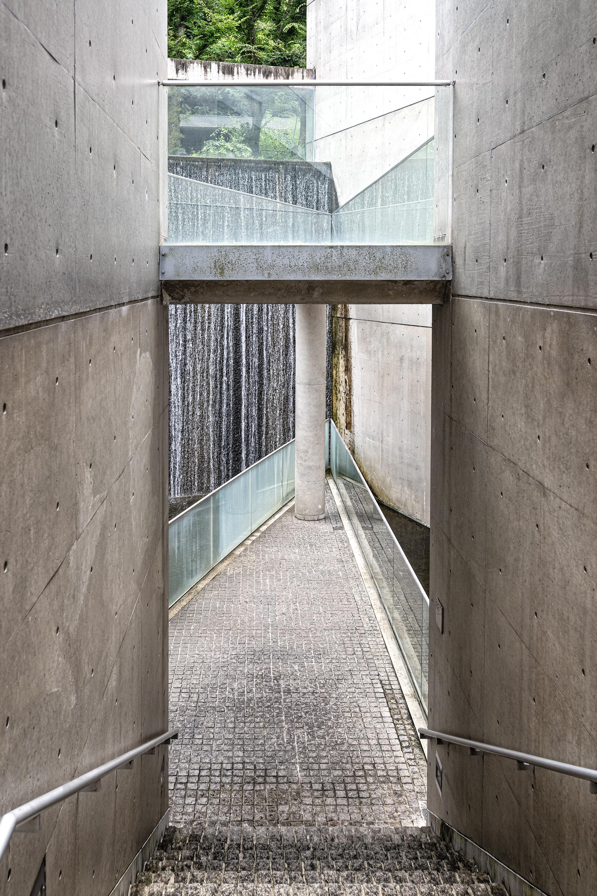 London Photography Awards Winner - Garden of Fine Art