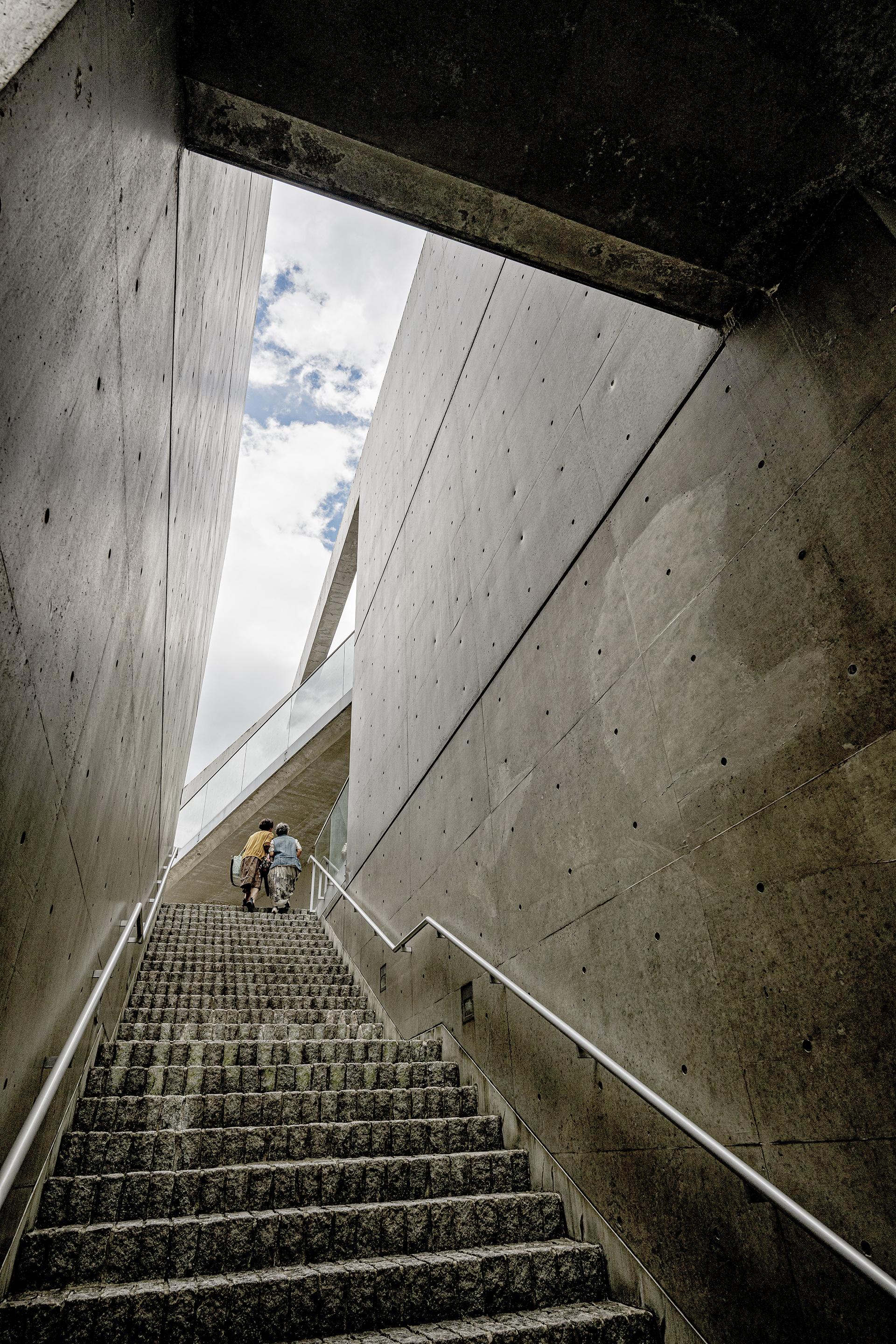 London Photography Awards Winner - Garden of Fine Art