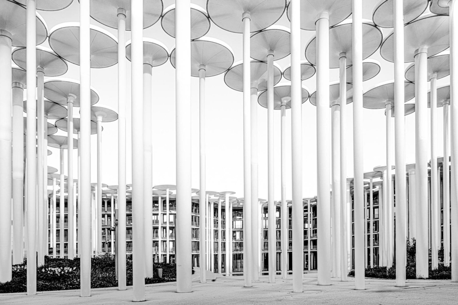 London Photography Awards Winner - Sachsische Aufbaubank
