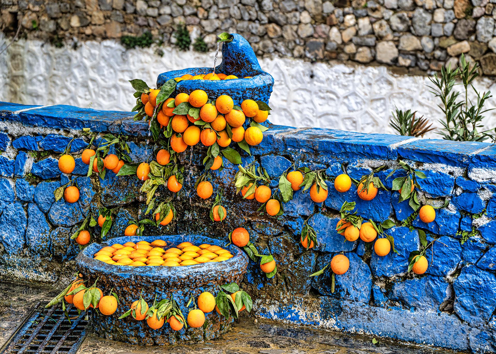 London Photography Awards Winner - Oranges