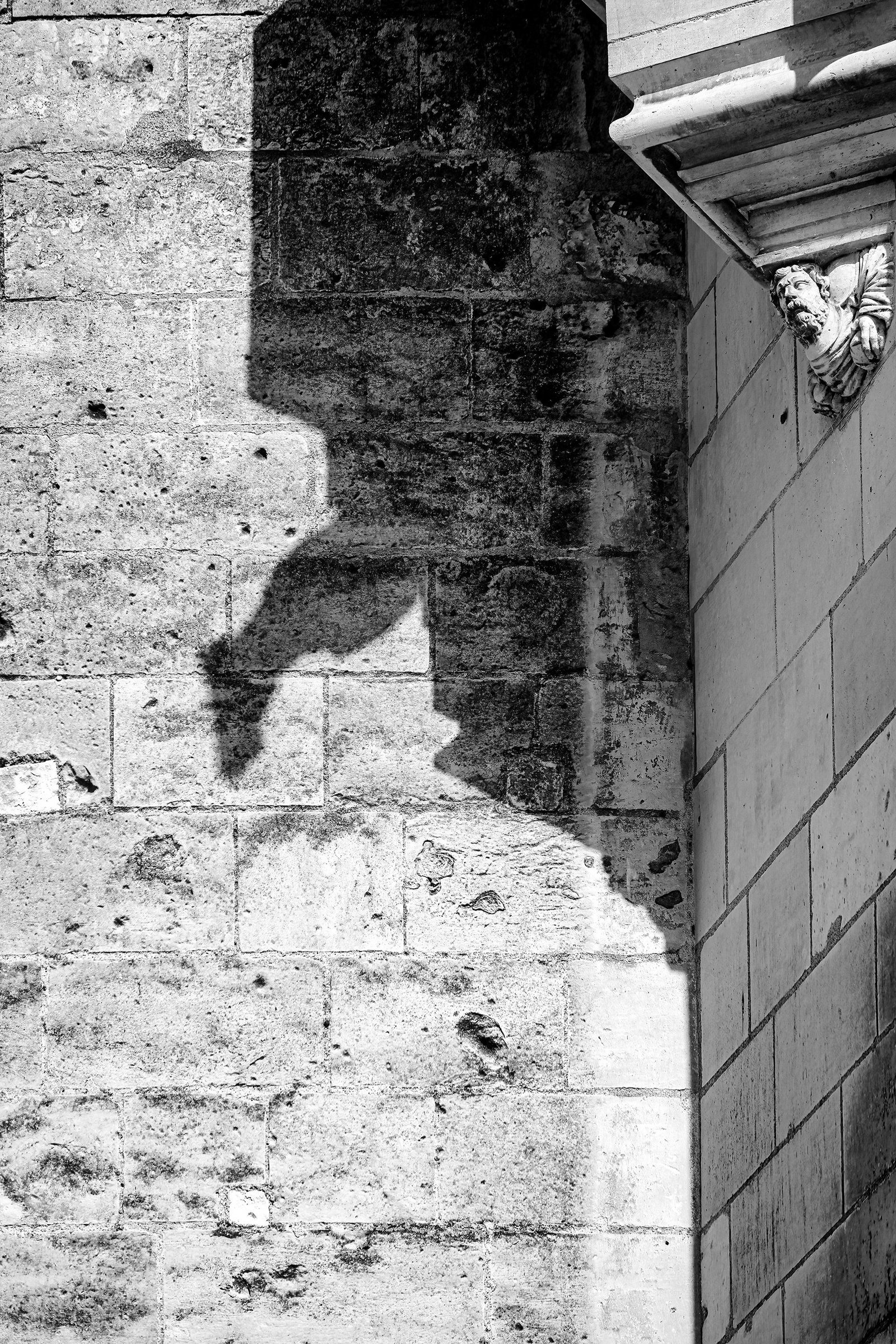 London Photography Awards Winner - Shadow Guardian