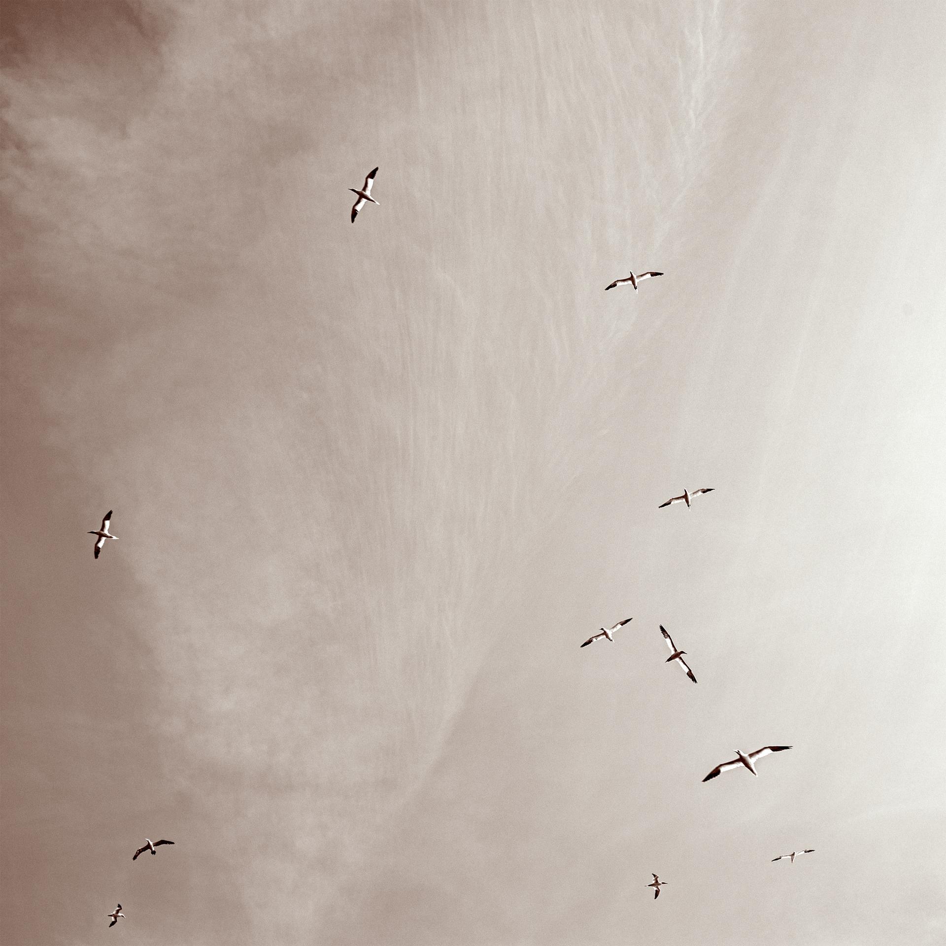 London Photography Awards Winner - Celestial Calligraphy