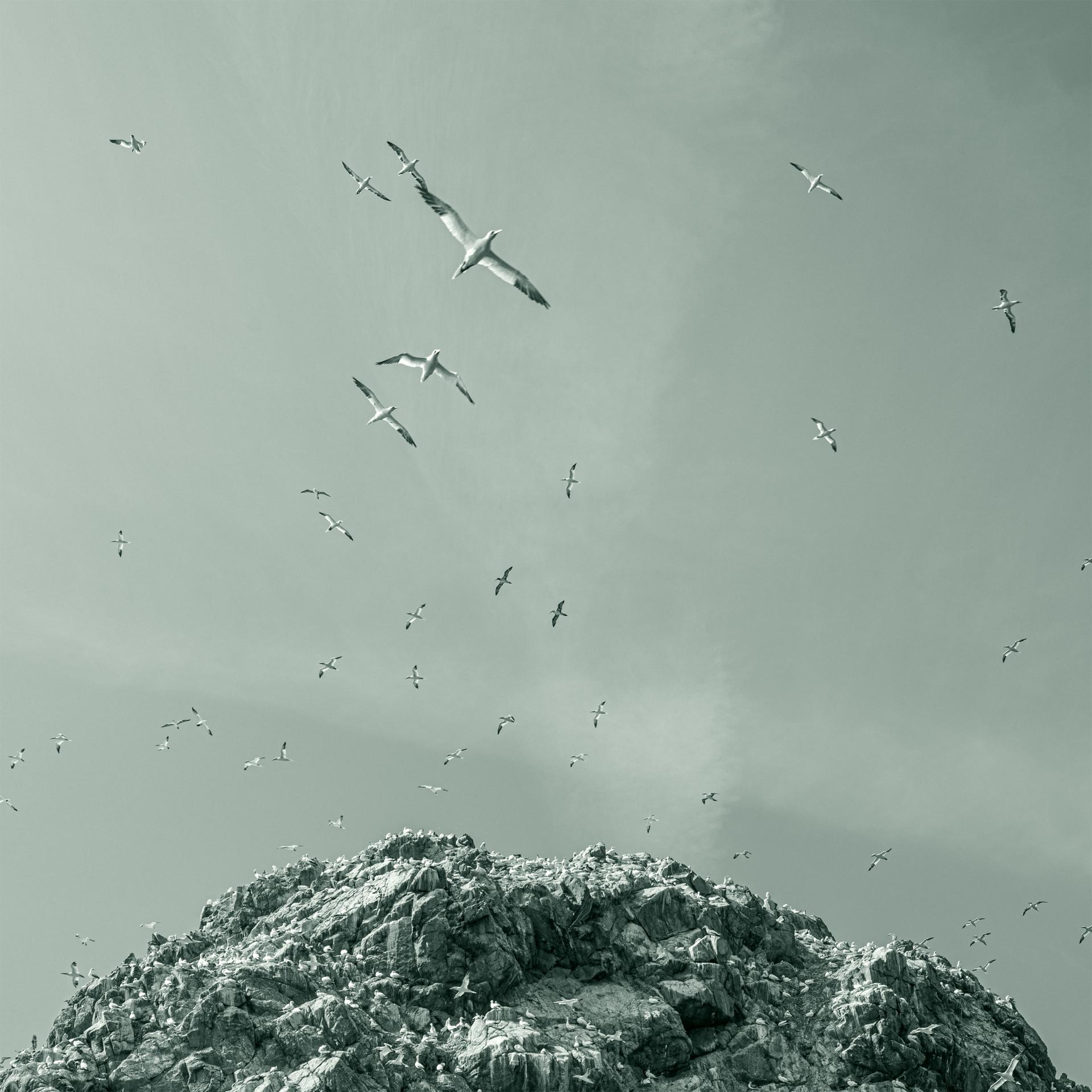 London Photography Awards Winner - Celestial Calligraphy