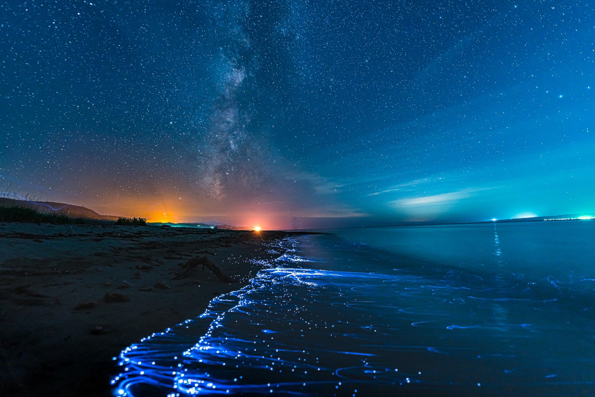 London Photography Awards Winner - SeaFireFly
