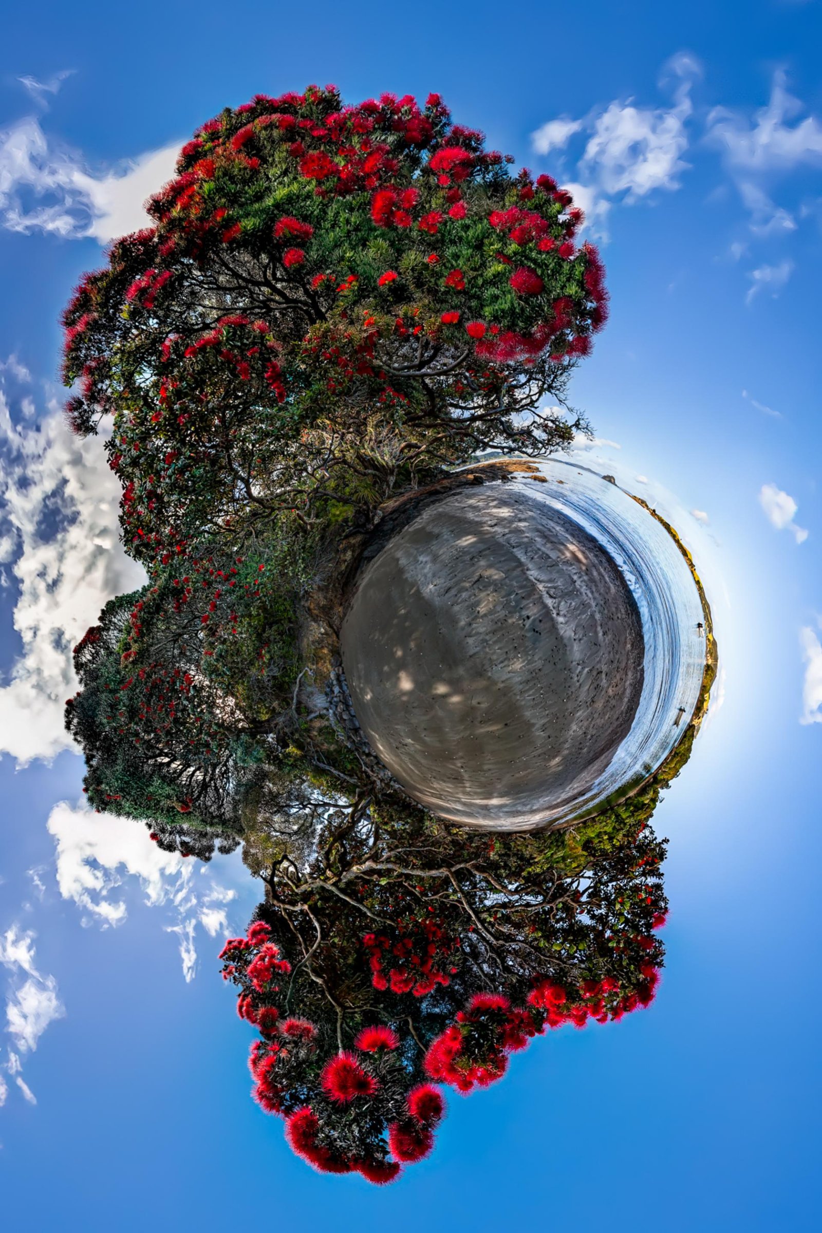 London Photography Awards Winner - What a Wonderful World