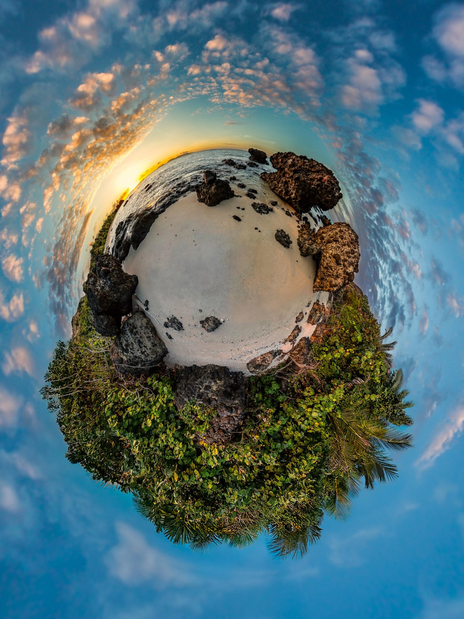 London Photography Awards Winner - What a Wonderful World