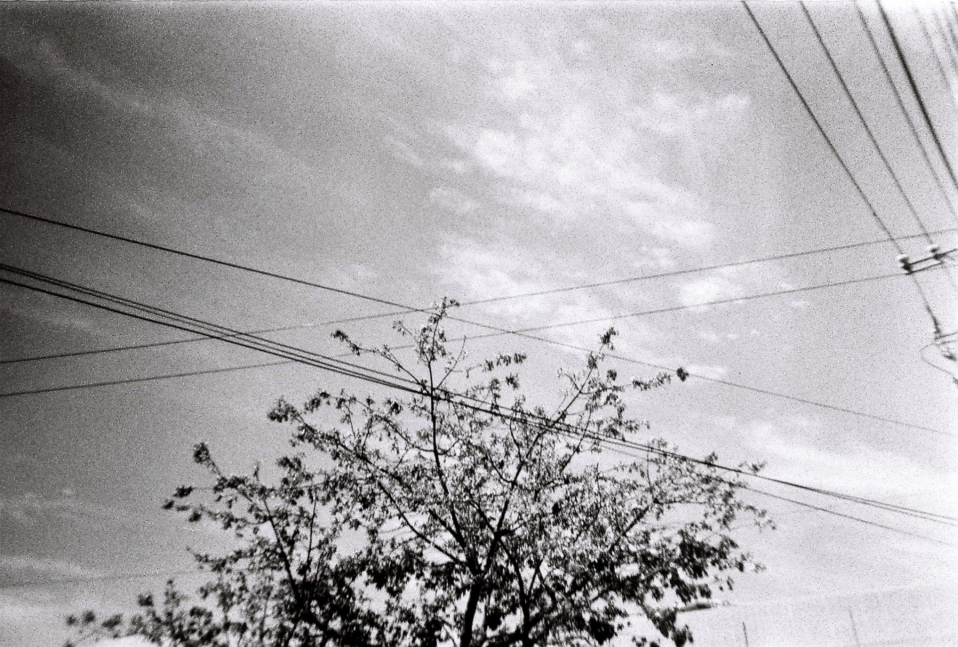 London Photography Awards Winner - Between Lines