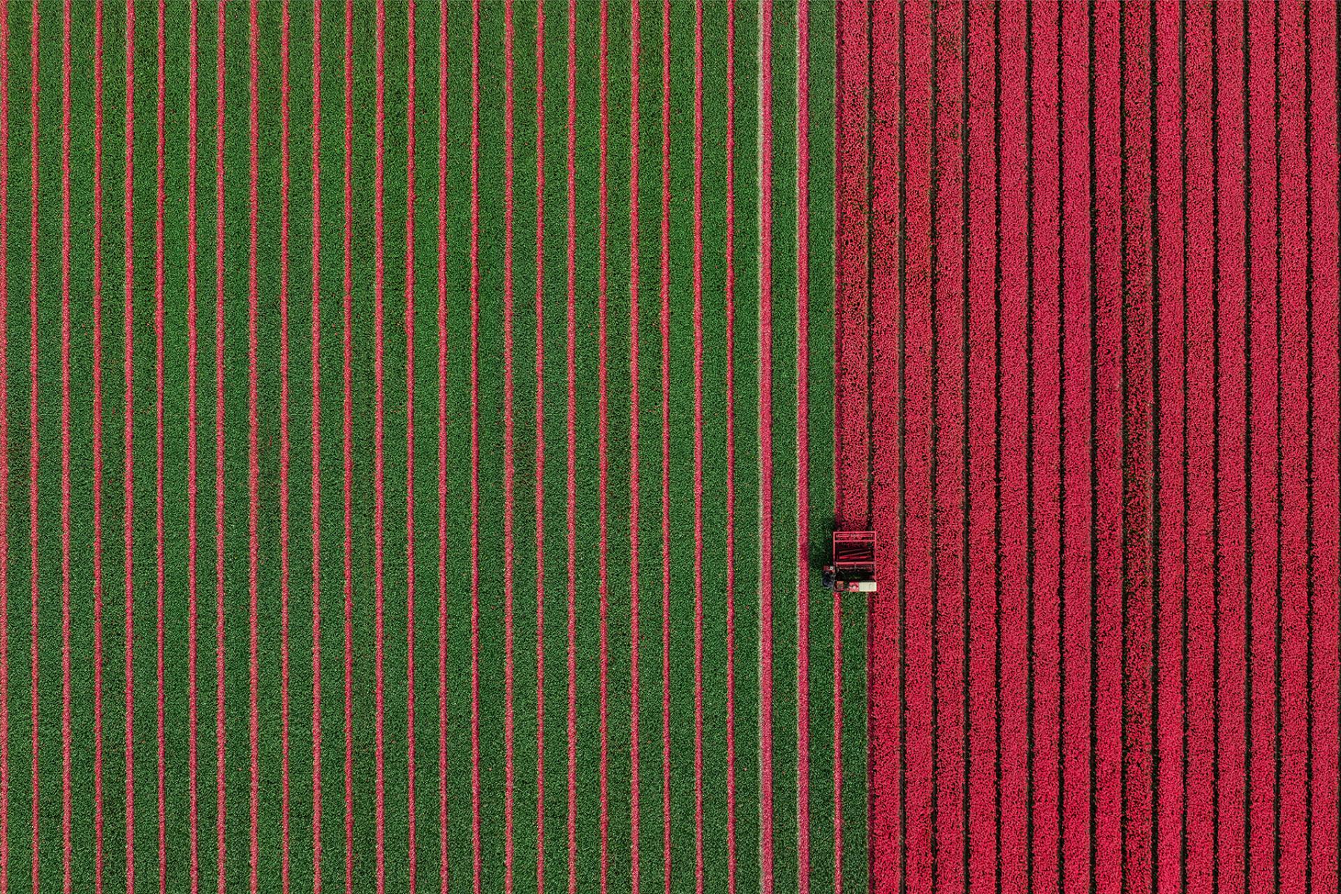 London Photography Awards Winner - Zipping Up the Season