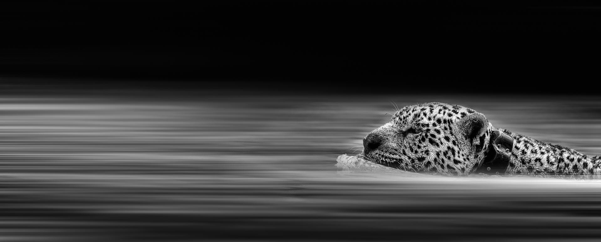 London Photography Awards Winner - Perseverance
