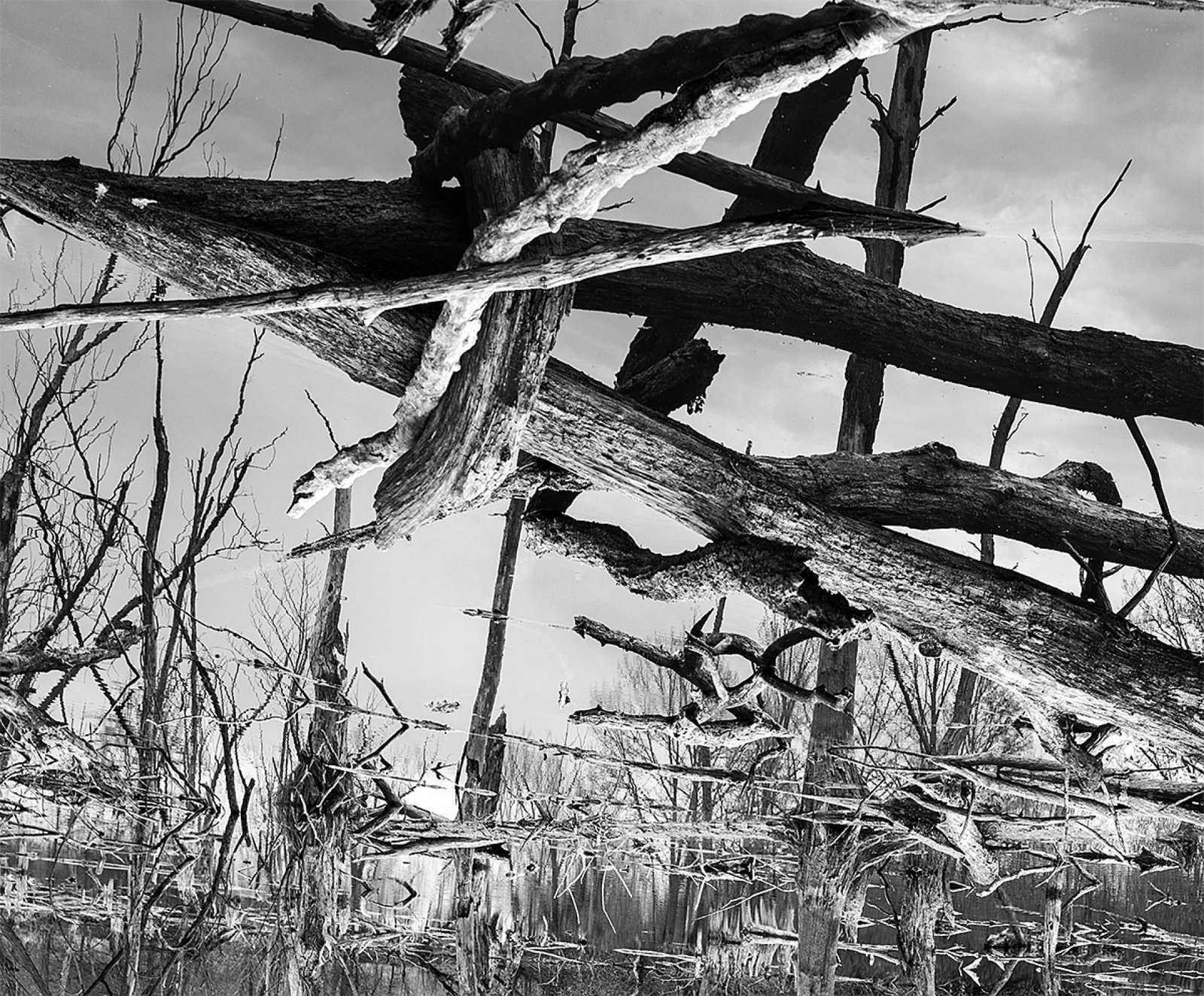 London Photography Awards Winner - Geometry of the Marsh