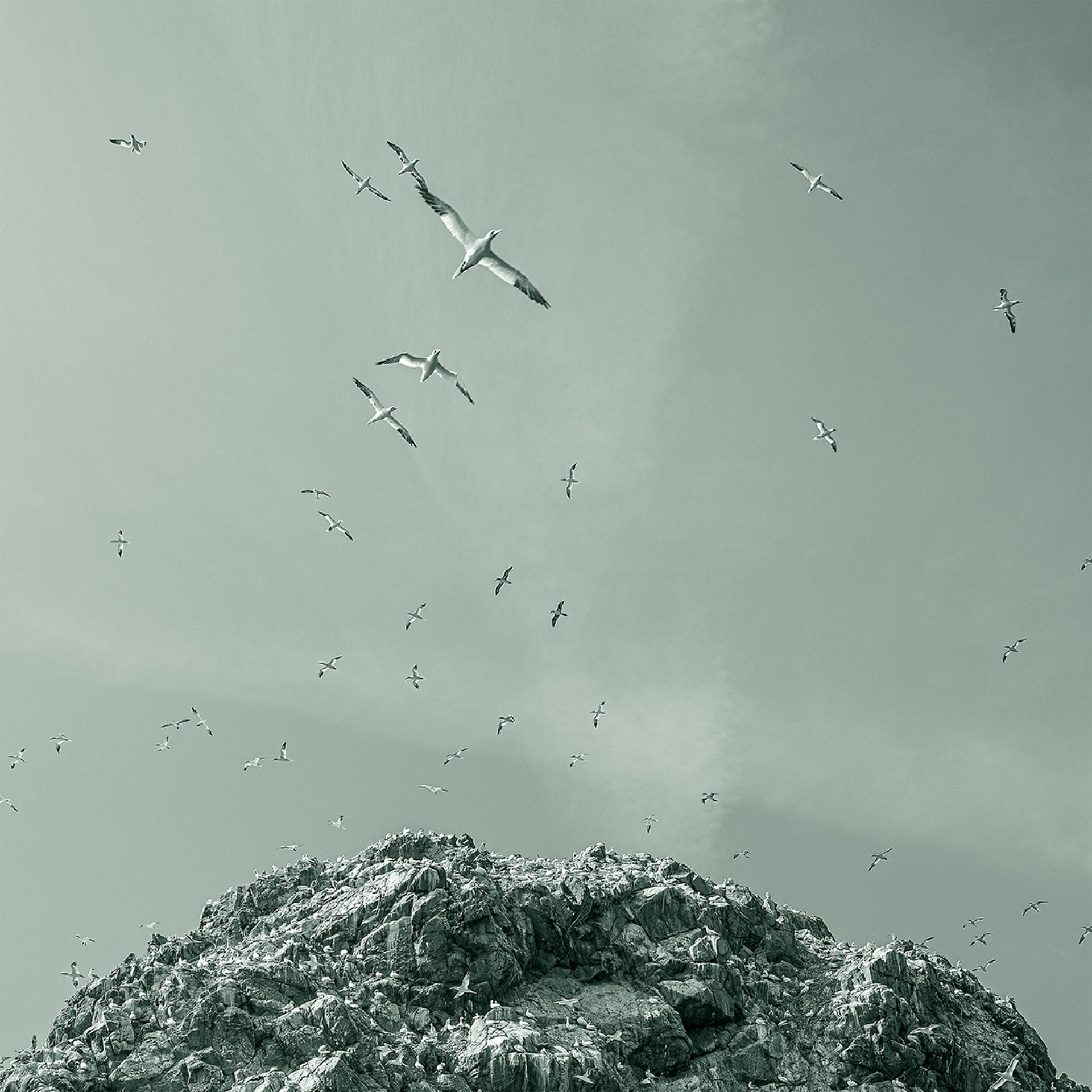 London Photography Awards Winner - The Fossil Era