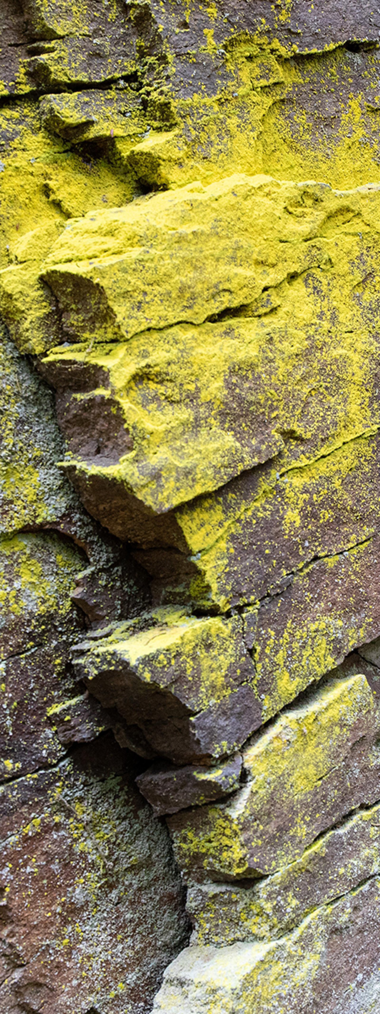 London Photography Awards Winner - The Four Elements: Vertical Voices – A Natural Philosophy