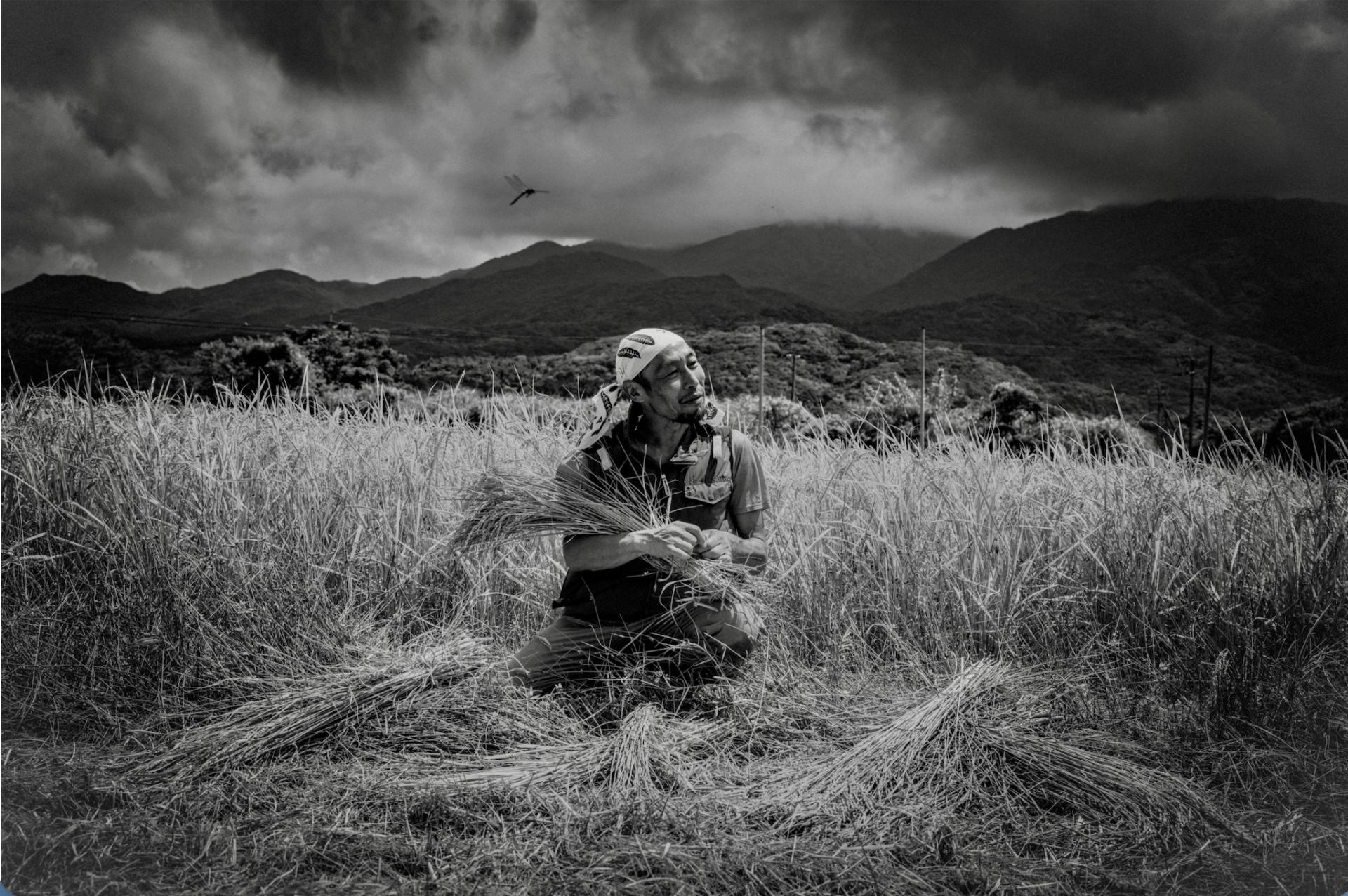 London Photography Awards Winner - Off the Beaten Track 