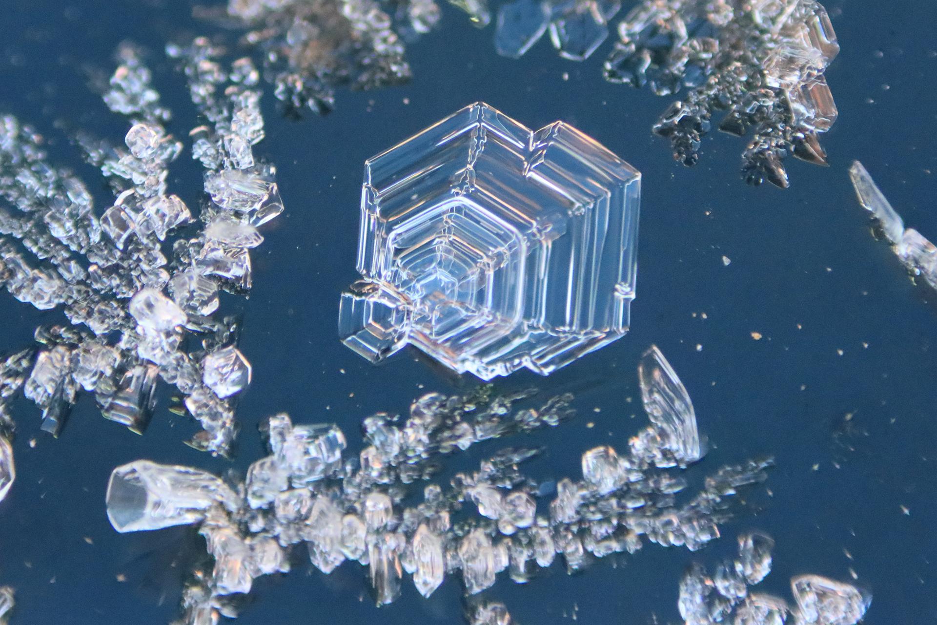 London Photography Awards Winner - Birthday's Surprise Frost