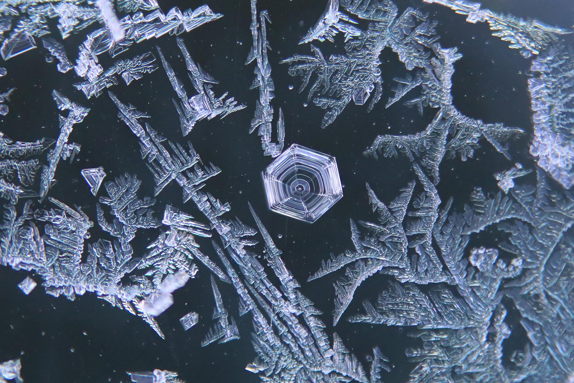 London Photography Awards Winner - Frosty Trails